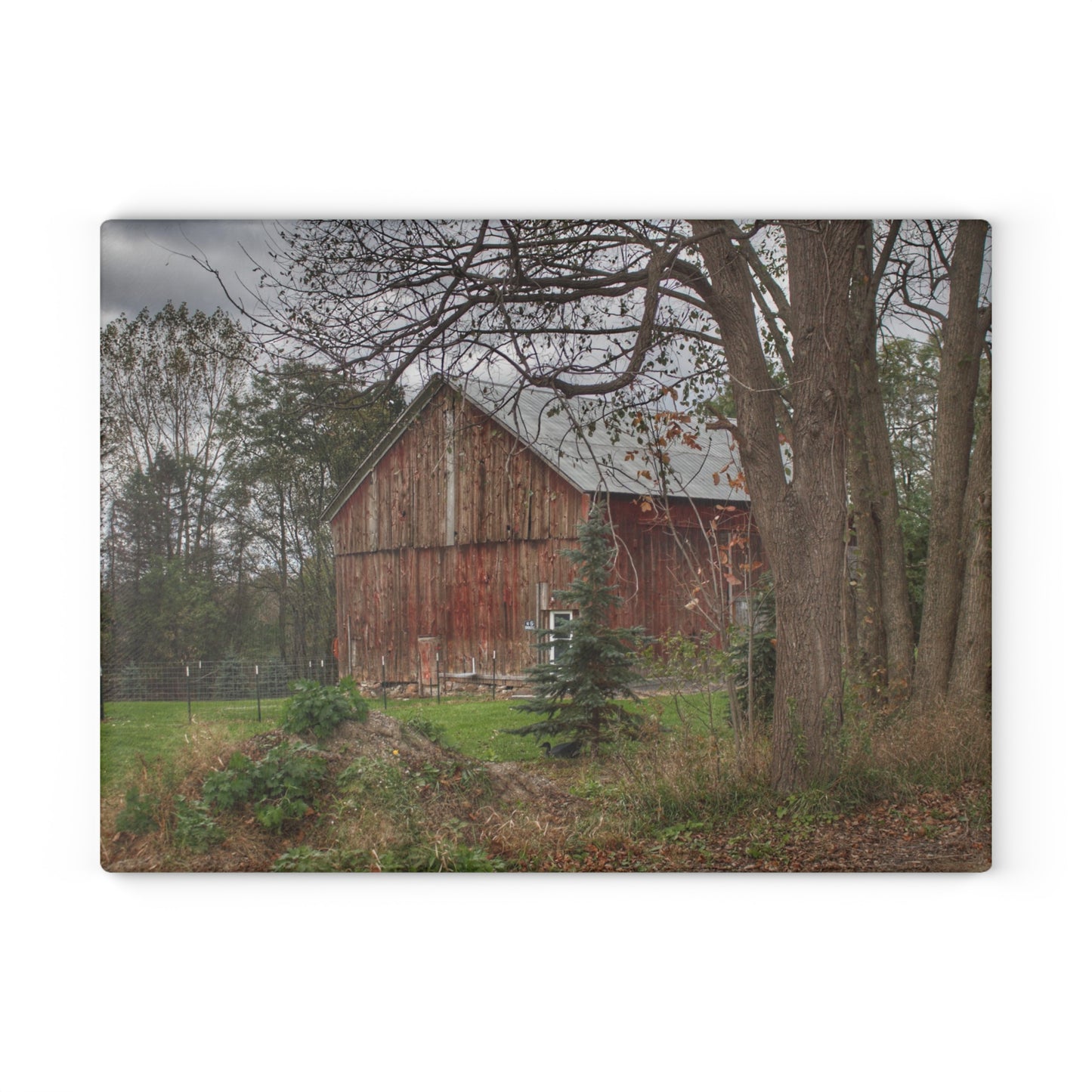 U R There Photography Big Fish Lake Road Red Rustic Farmhouse Tempered-Glass Cutting Board