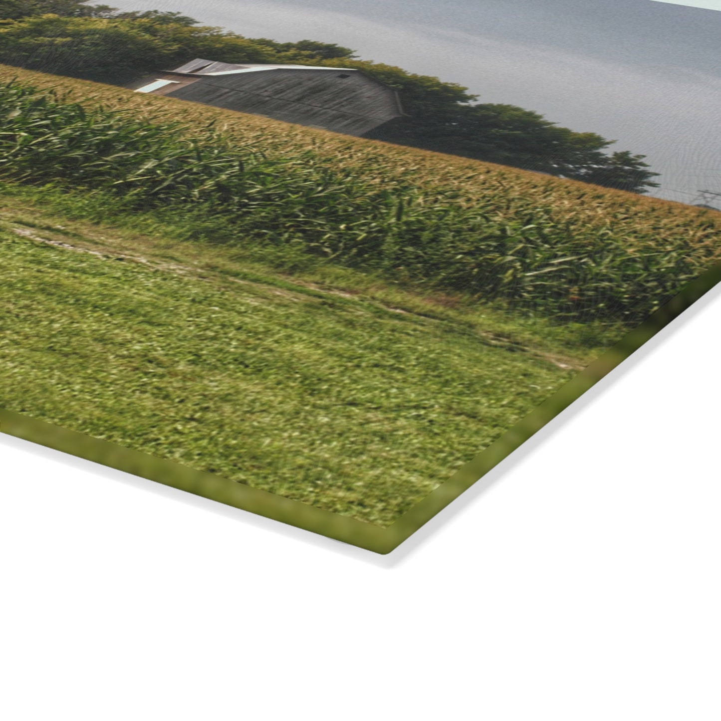 U R There Photography Quanicassee Road Grey Rustic Farmhouse Tempered-Glass Cutting Board