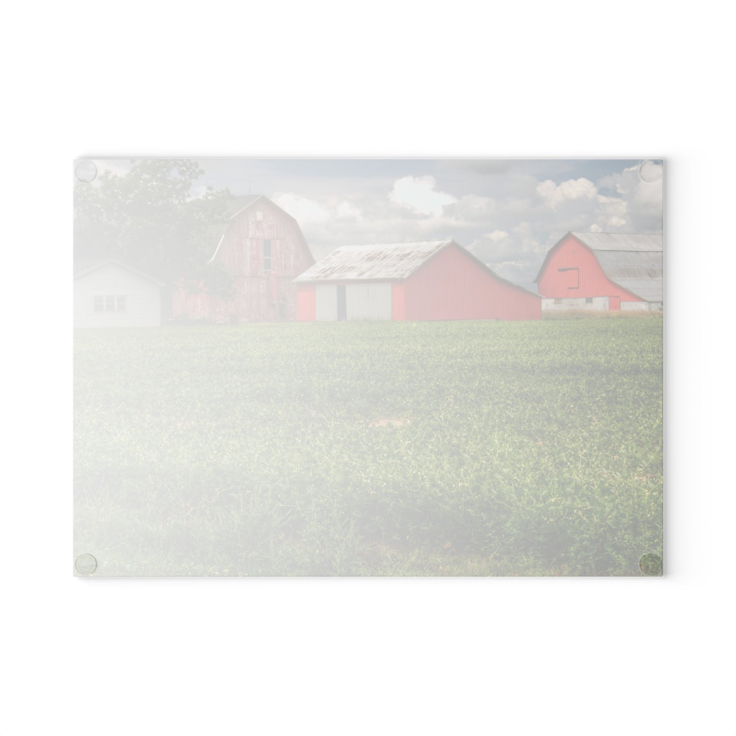 U R There Photography Roadside Trio Rustic Farmhouse Tempered-Glass Cutting Board