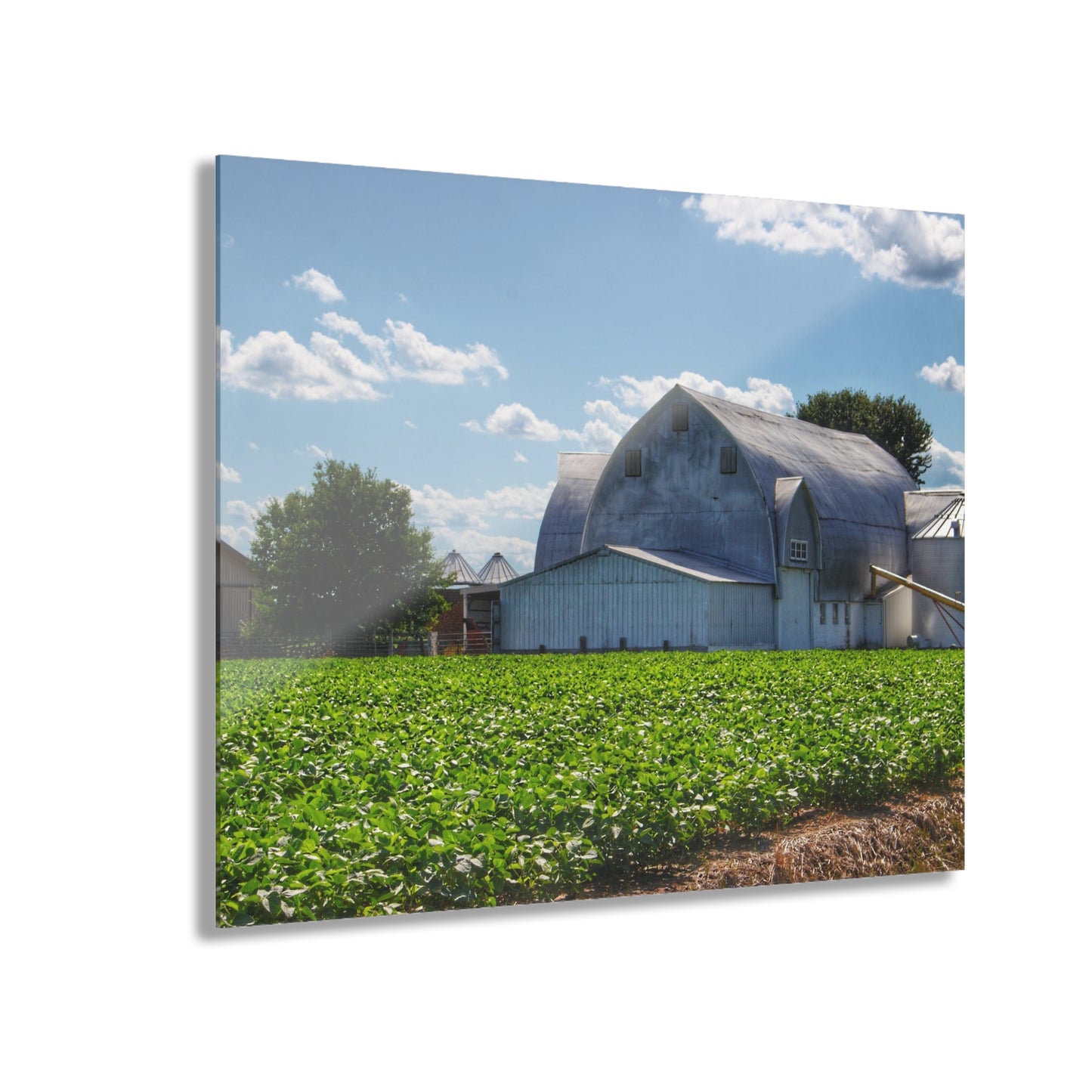 U R There Photography Canada Road White Rustic Farmhouse Acrylic Wall Print