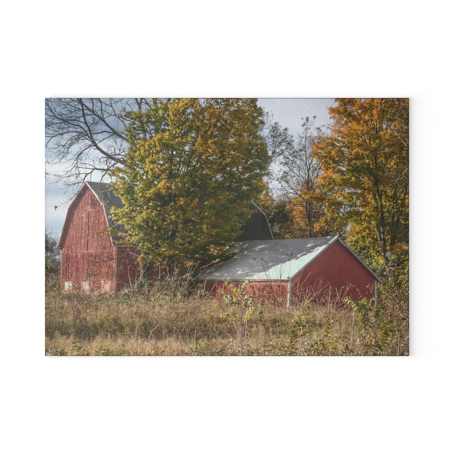 U R There Photography Bowers Road Red I Rustic Farmhouse Tempered-Glass Cutting Board