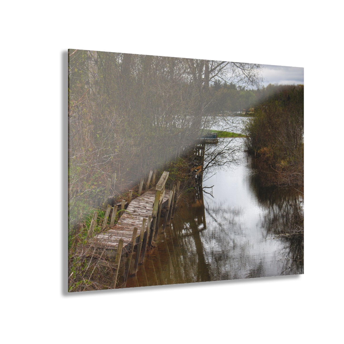 U R There Photography Private Pathways Rustic Farmhouse Acrylic Wall Print