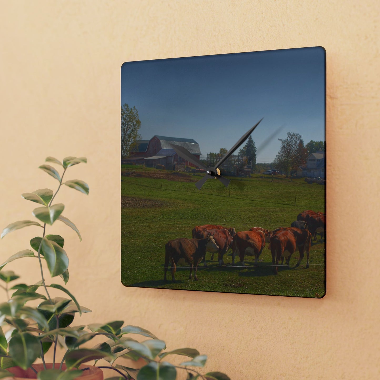 U R There Photography Plain Road Farm and Cows Rustic Farmhouse Acrylic Analog Wall Clock