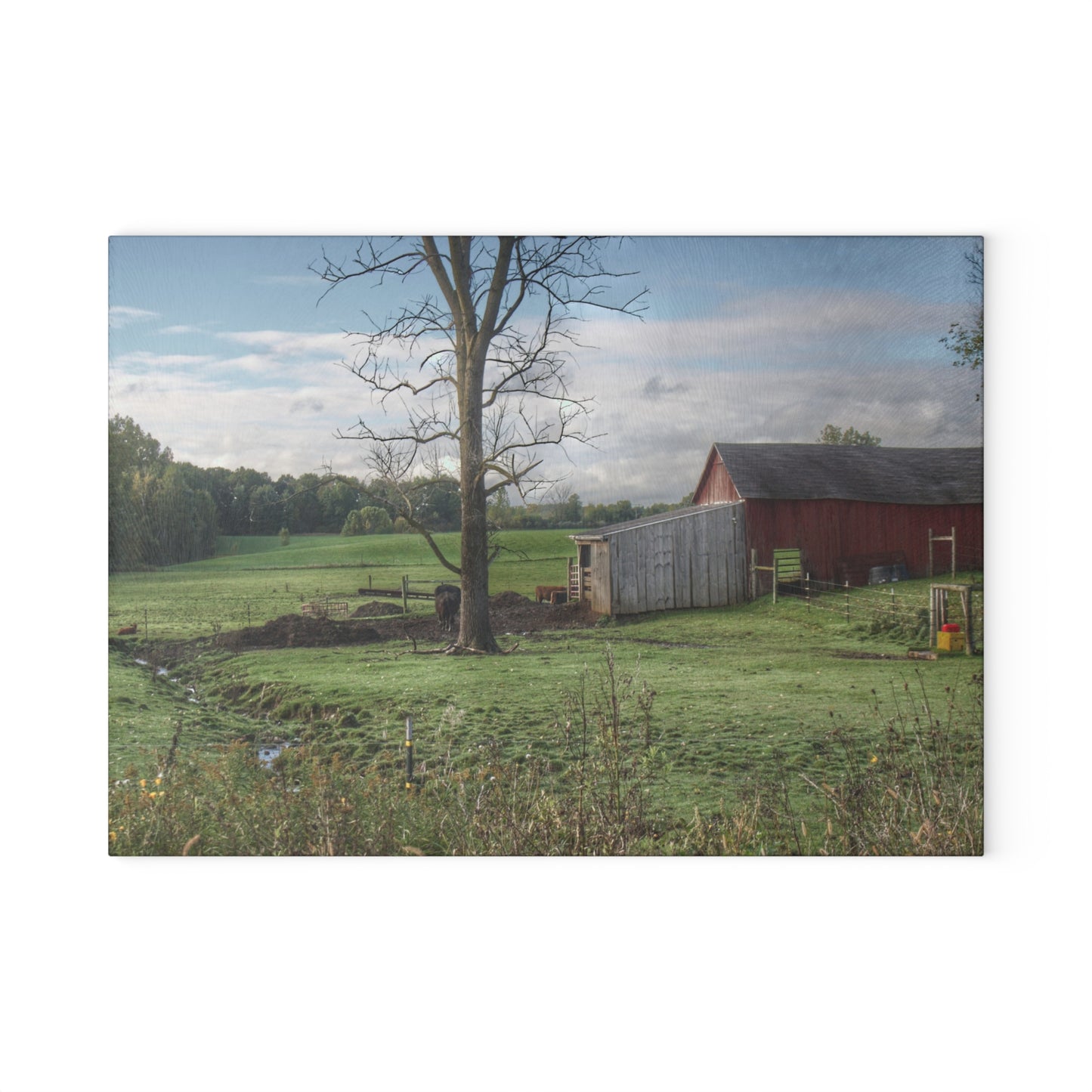 U R There Photography West Oregon Road Hidden Red III Rustic Farmhouse Tempered-Glass Cutting Board