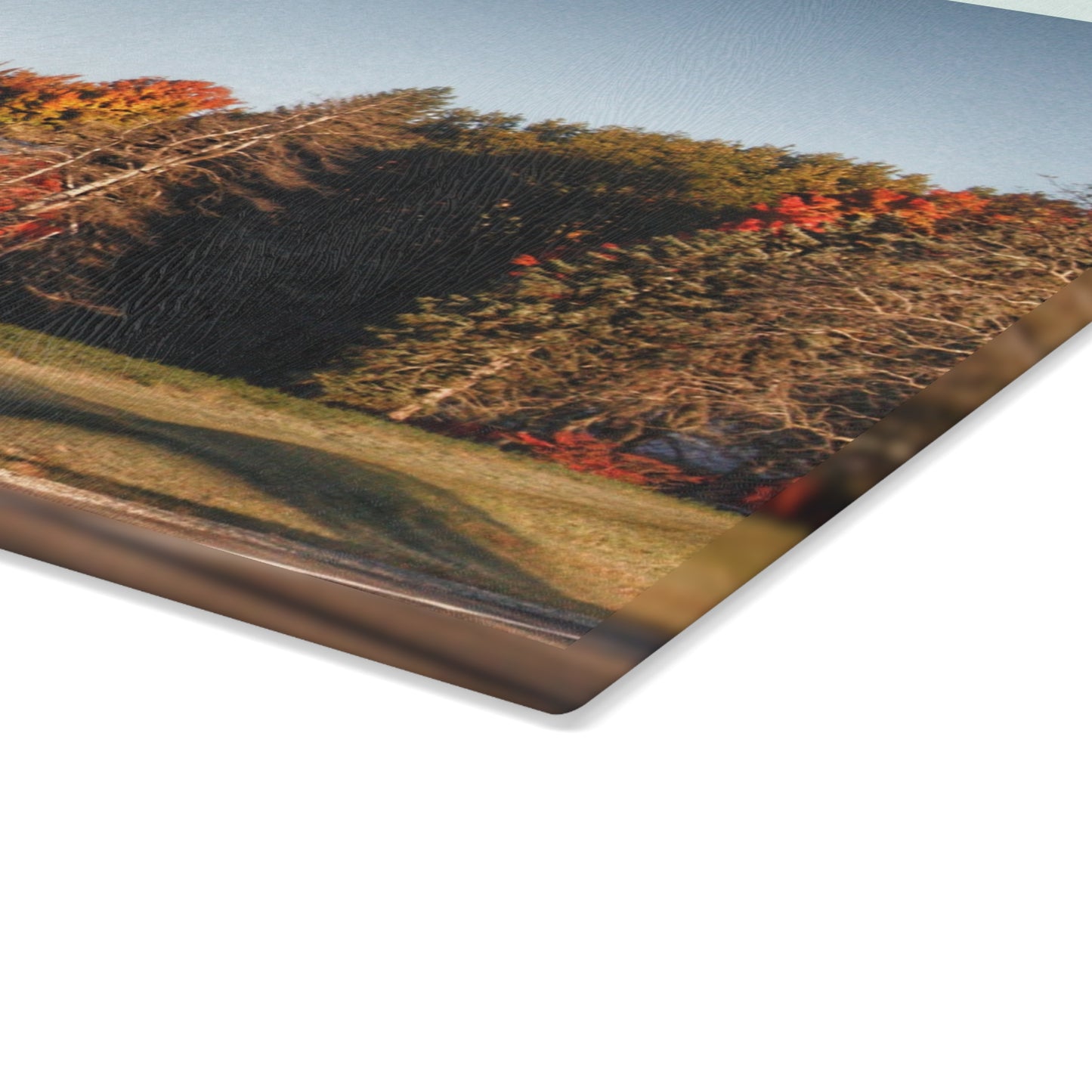 U R There Photography Tucked on Treasurer Road Rustic Farmhouse Tempered-Glass Cutting Board