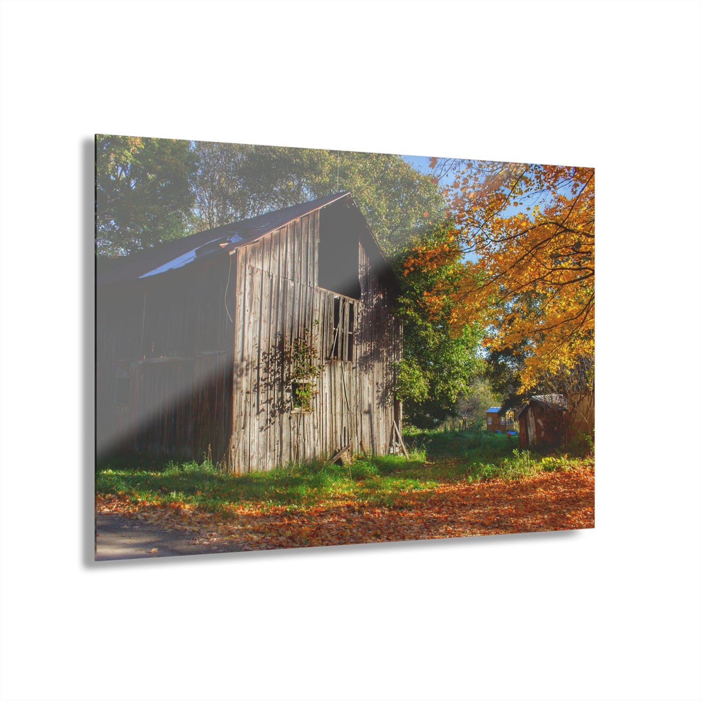 U R There Photography Shoemaker Road Hidden Grey Rustic Farmhouse Acrylic Wall Print