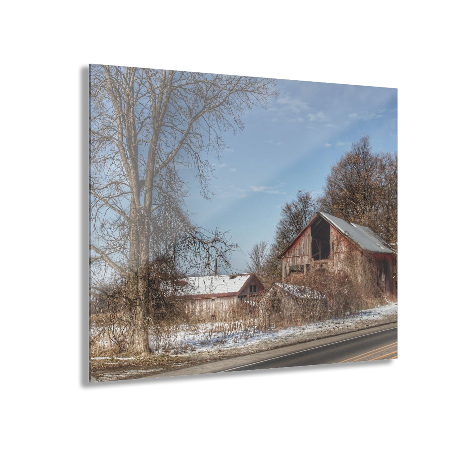 U R There Photography Almont Van Dyke Red I Rustic Farmhouse Acrylic Wall Print