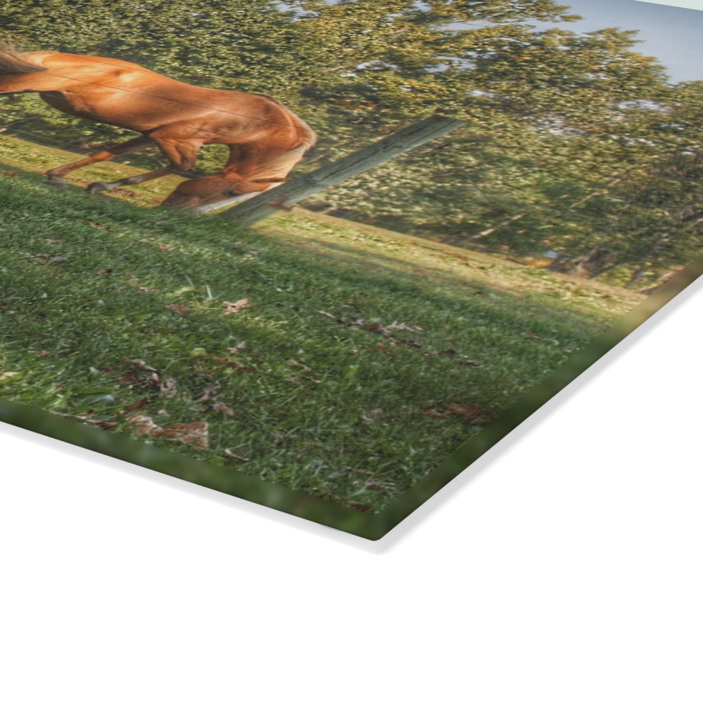 U R There Photography Caramel Horses Rustic Farmhouse Tempered-Glass Cutting Board
