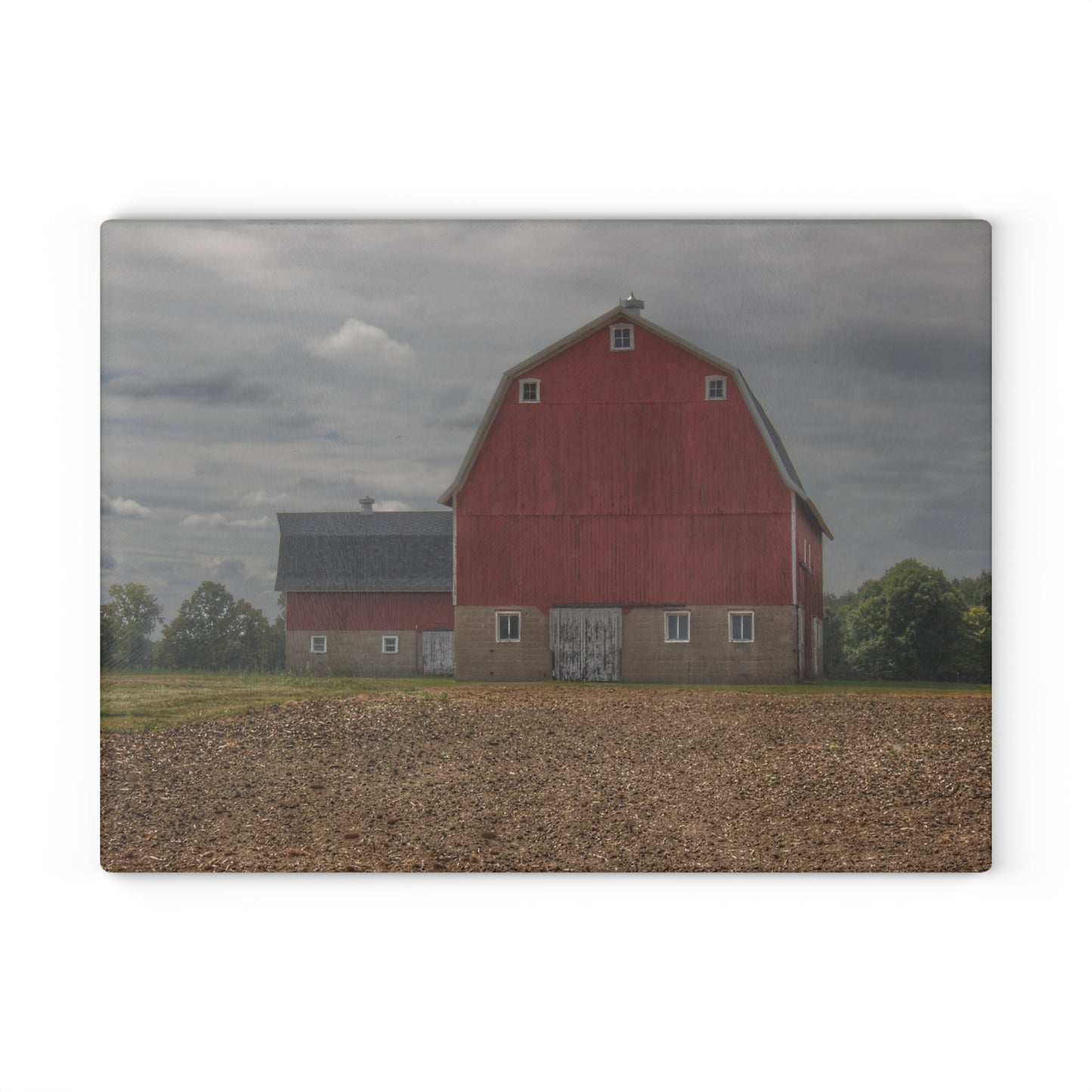 U R There Photography Cade Road Red I Rustic Farmhouse Tempered-Glass Cutting Board