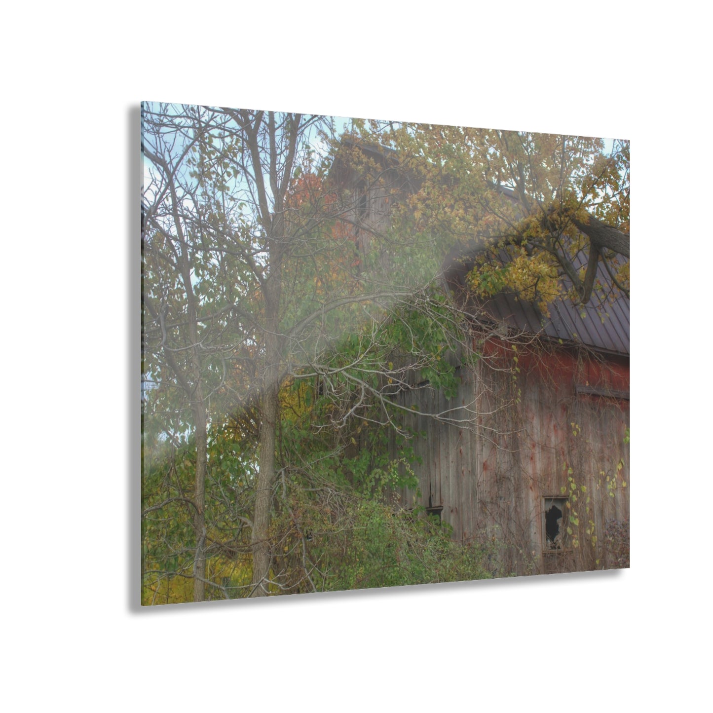 U R There Photography Annie's Barn I Rustic Farmhouse Acrylic Wall Print