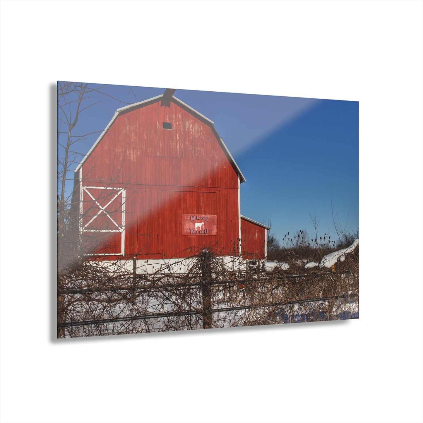 U R There Photography Vassar Red Wild Rustic Farmhouse Acrylic Wall Print