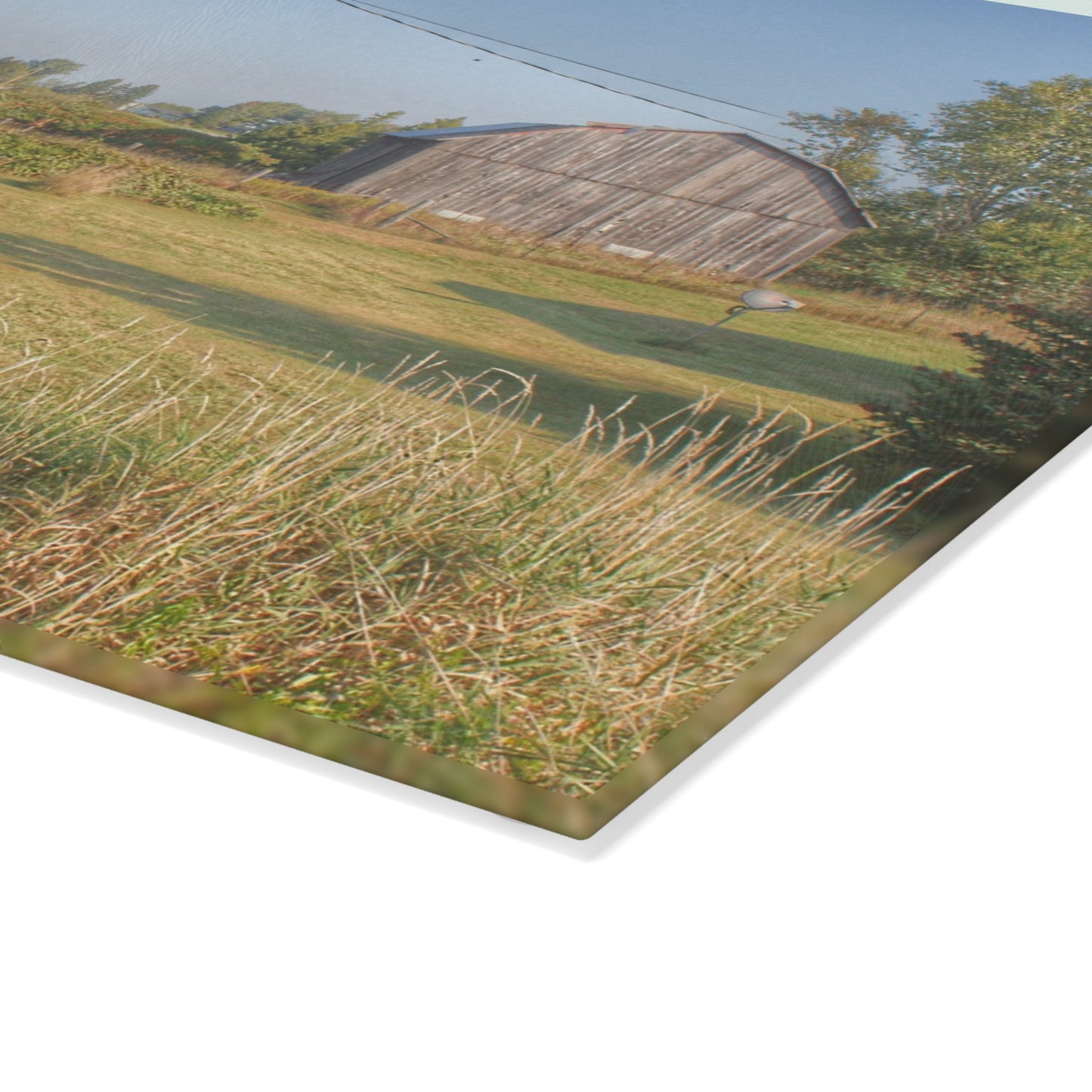 U R There Photography Snover Grey II Rustic Farmhouse Tempered-Glass Cutting Board