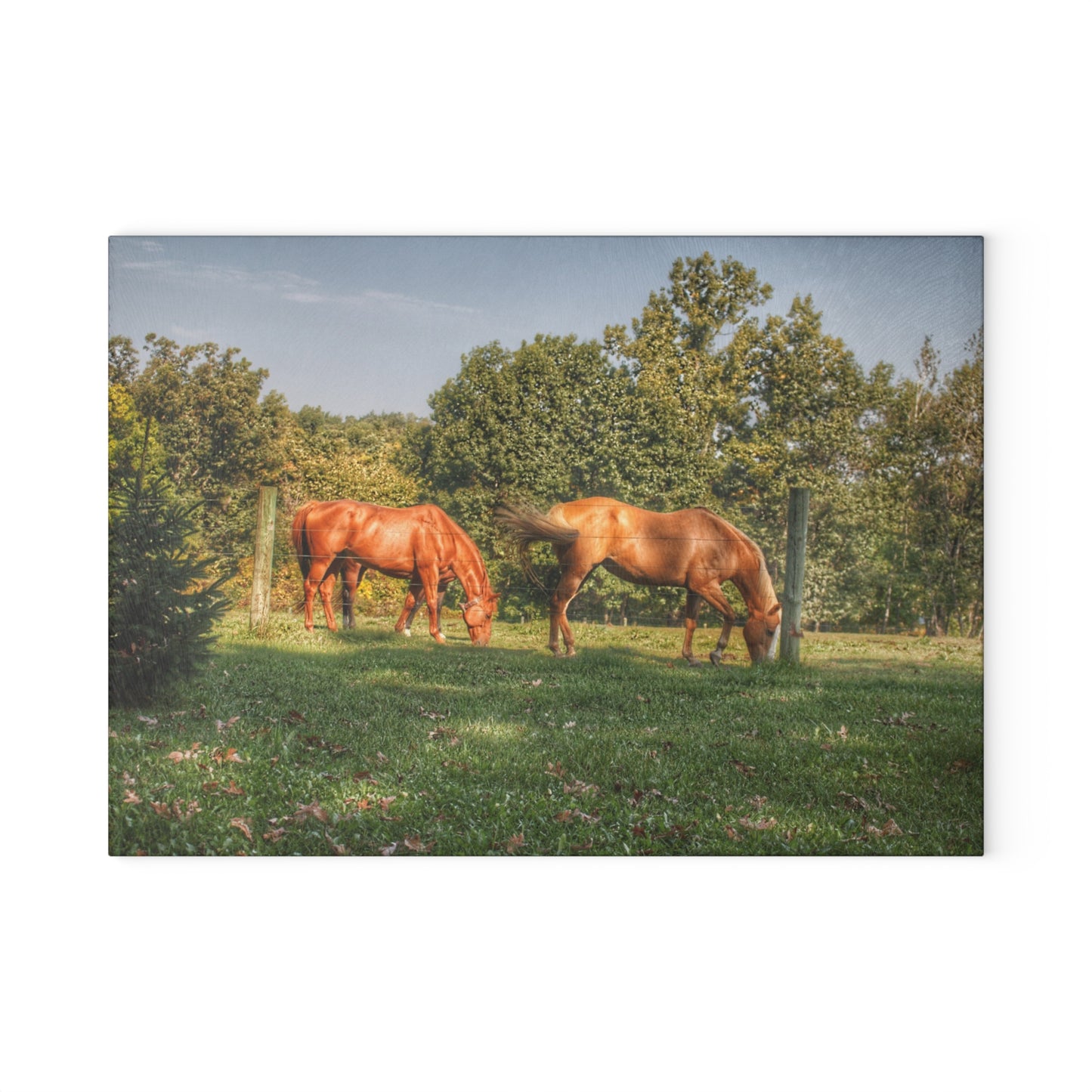 U R There Photography Caramel Horses Rustic Farmhouse Tempered-Glass Cutting Board