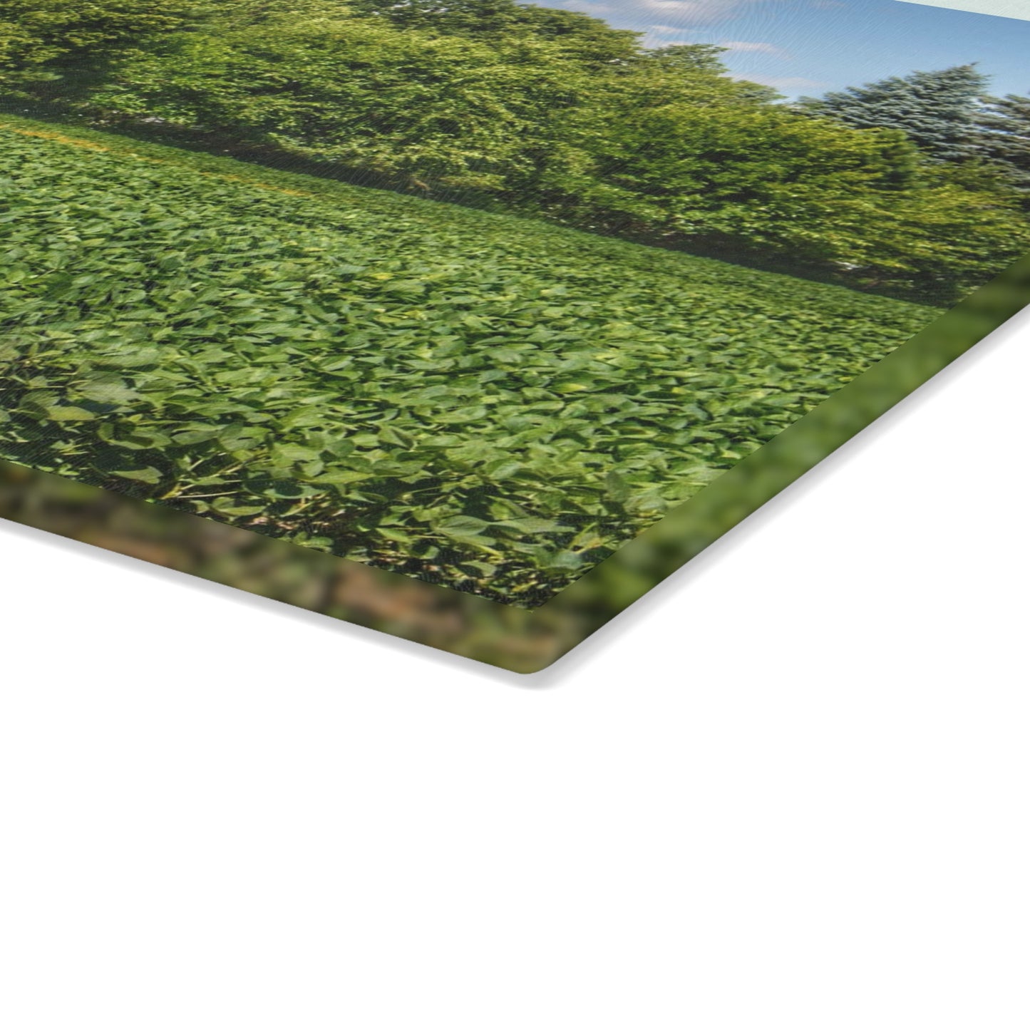 U R There Photography Canada Road Hidden Rustic Farmhouse Tempered-Glass Cutting Board