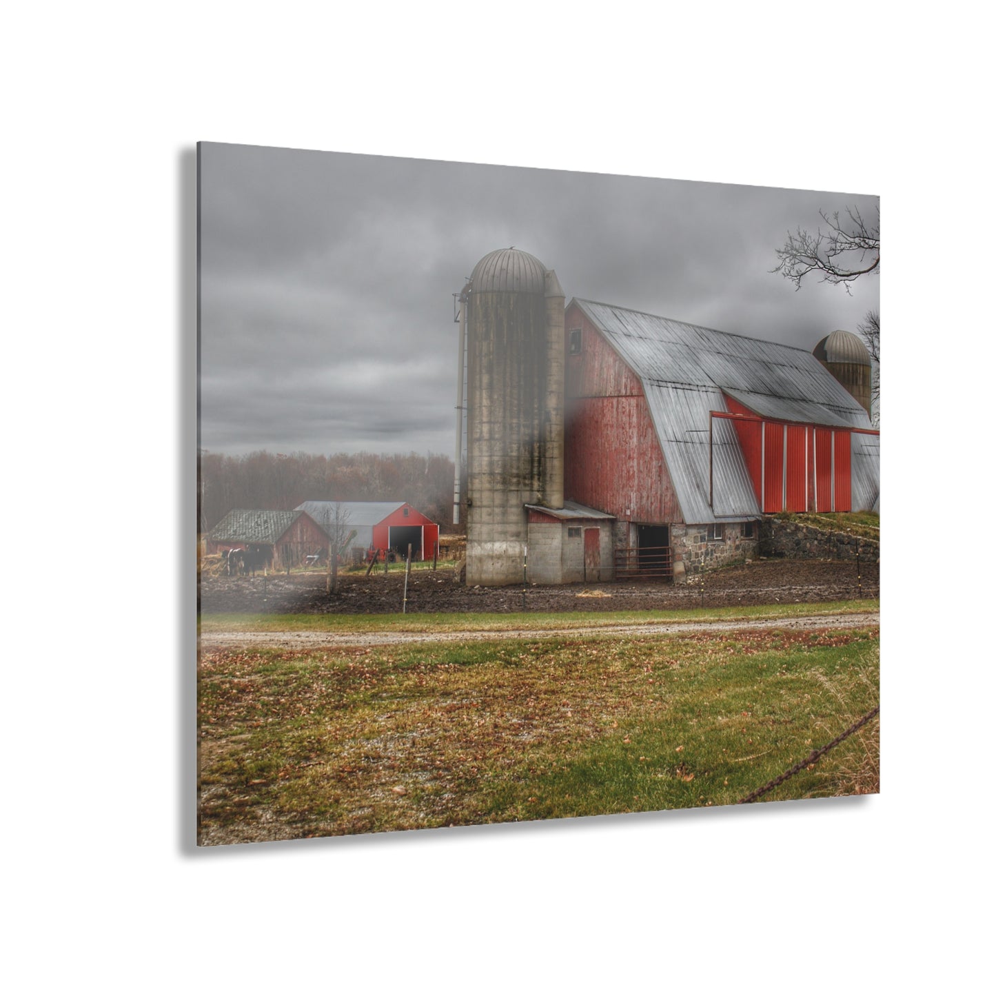 U R There Photography Slattery Roadside Red I Rustic Farmhouse Acrylic Wall Print