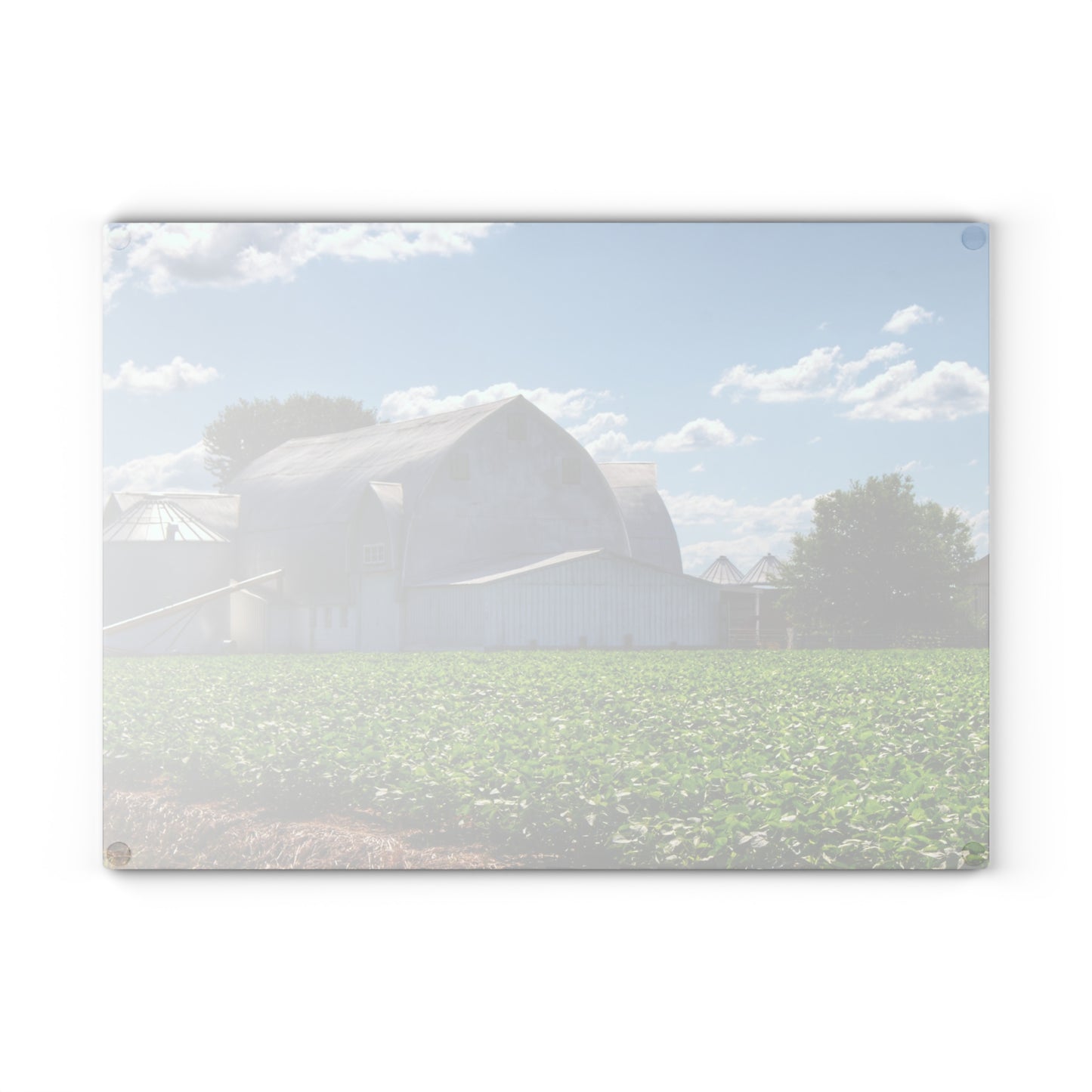 U R There Photography Canada Road White Rustic Farmhouse Tempered-Glass Cutting Board
