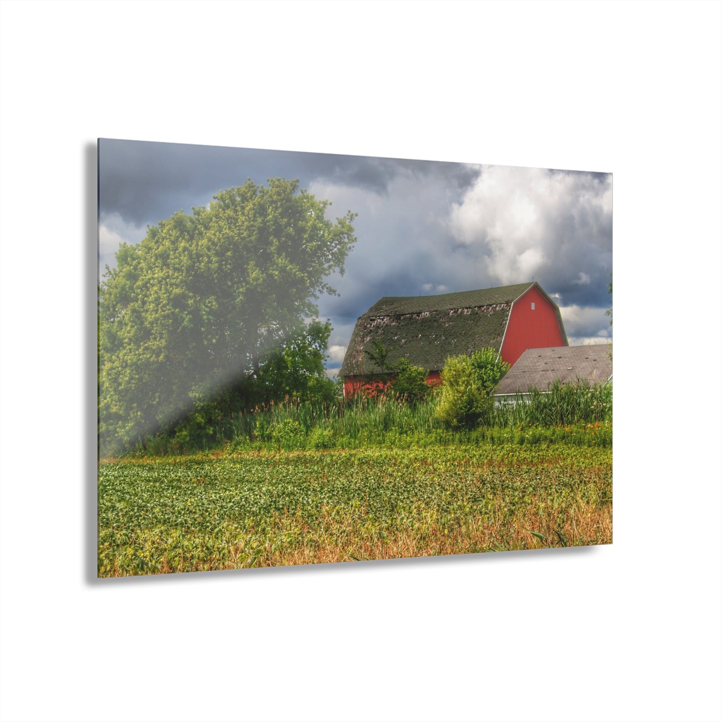 U R There Photography Shelby Red IV Rustic Farmhouse Acrylic Wall Print