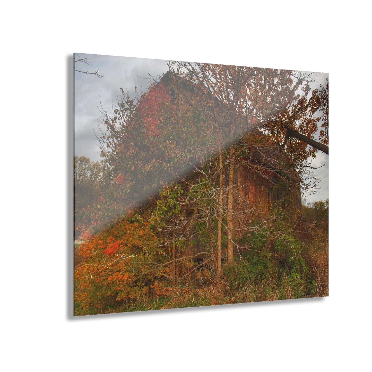 U R There Photography Annie's Barn III Rustic Farmhouse Acrylic Wall Print