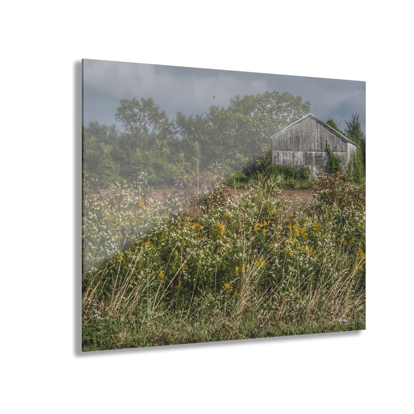 U R There Photography Almont Road Grey Rustic Farmhouse Acrylic Wall Print