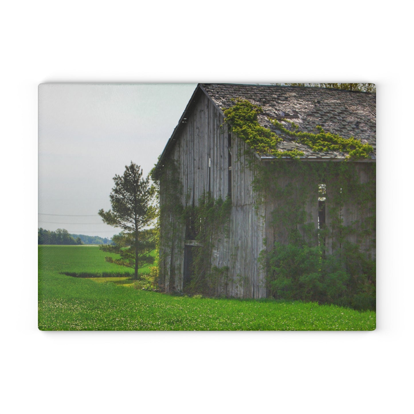 U R There Photography Caro Road Twin Grey I Rustic Farmhouse Tempered-Glass Cutting Board