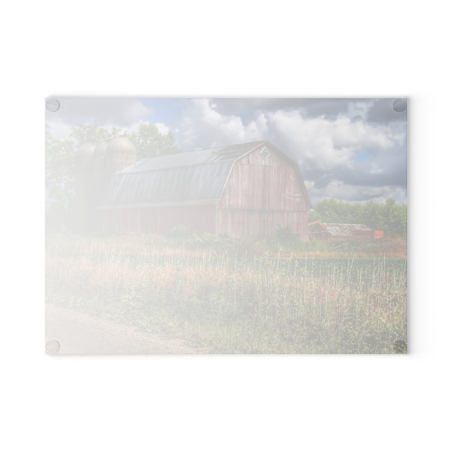 U R There Photography Shelby Red III Rustic Farmhouse Tempered-Glass Cutting Board