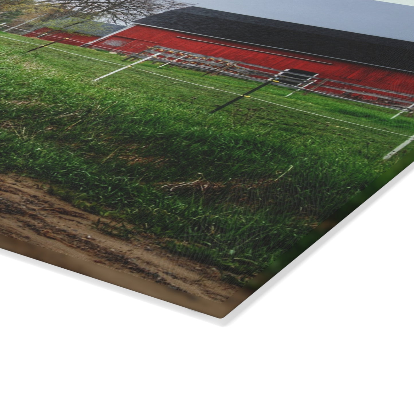 U R There Photography West Lake Road Farm and Filly I Rustic Farmhouse Tempered-Glass Cutting Board