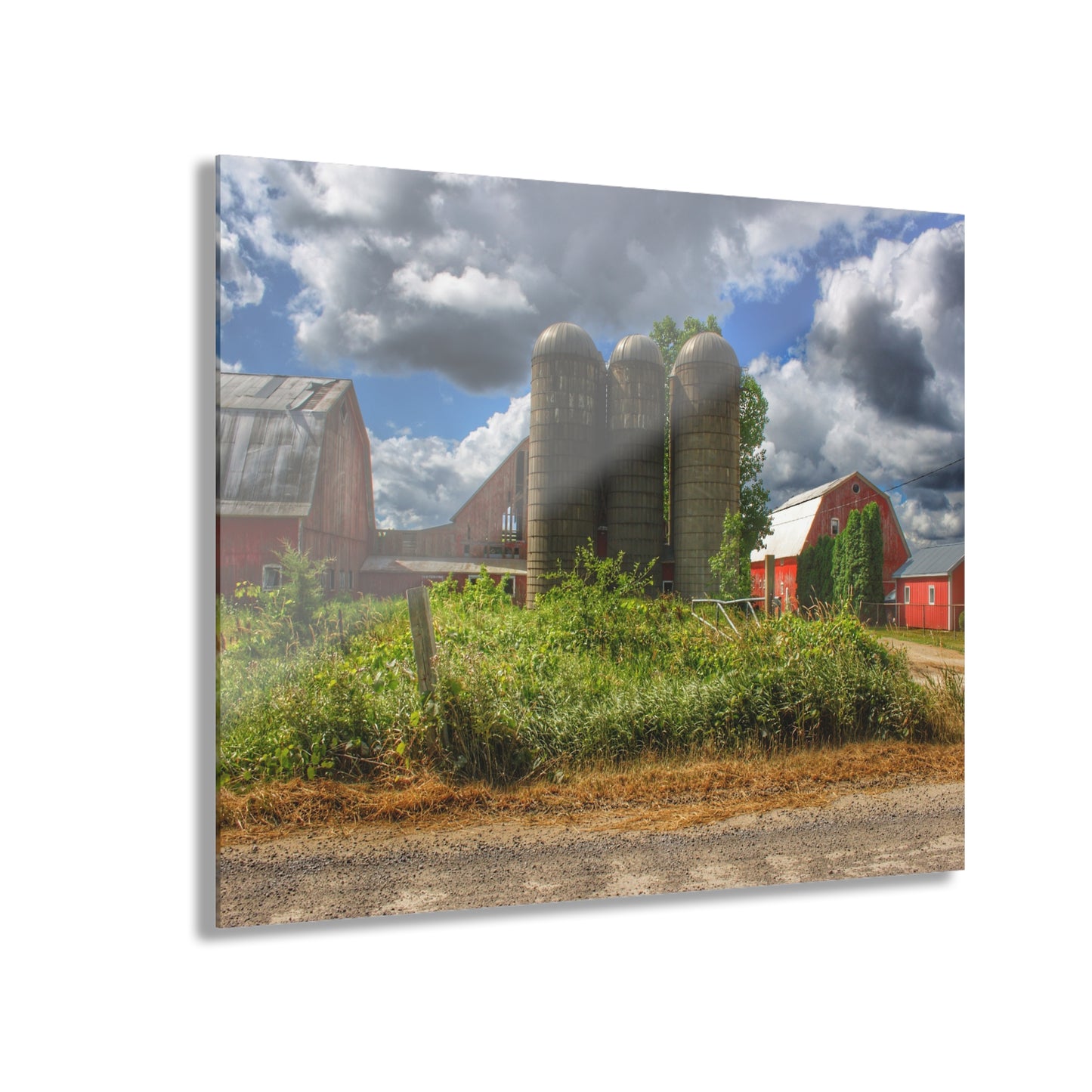 U R There Photography Shelby Red II Rustic Farmhouse Acrylic Wall Print