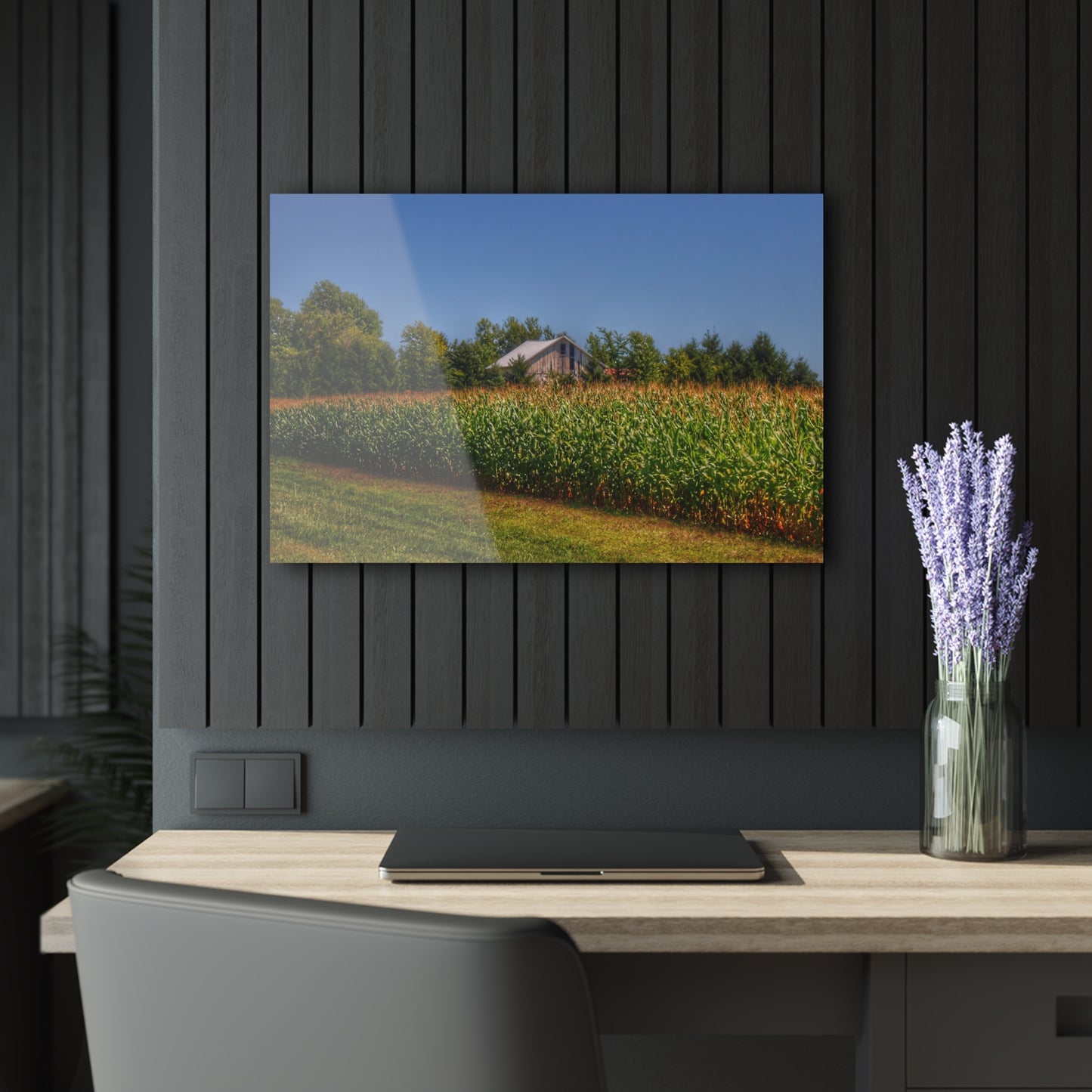U R There Photography Beyond the Corn on Birch Road Run Rustic Farmhouse Acrylic Wall Print 14 "x 11