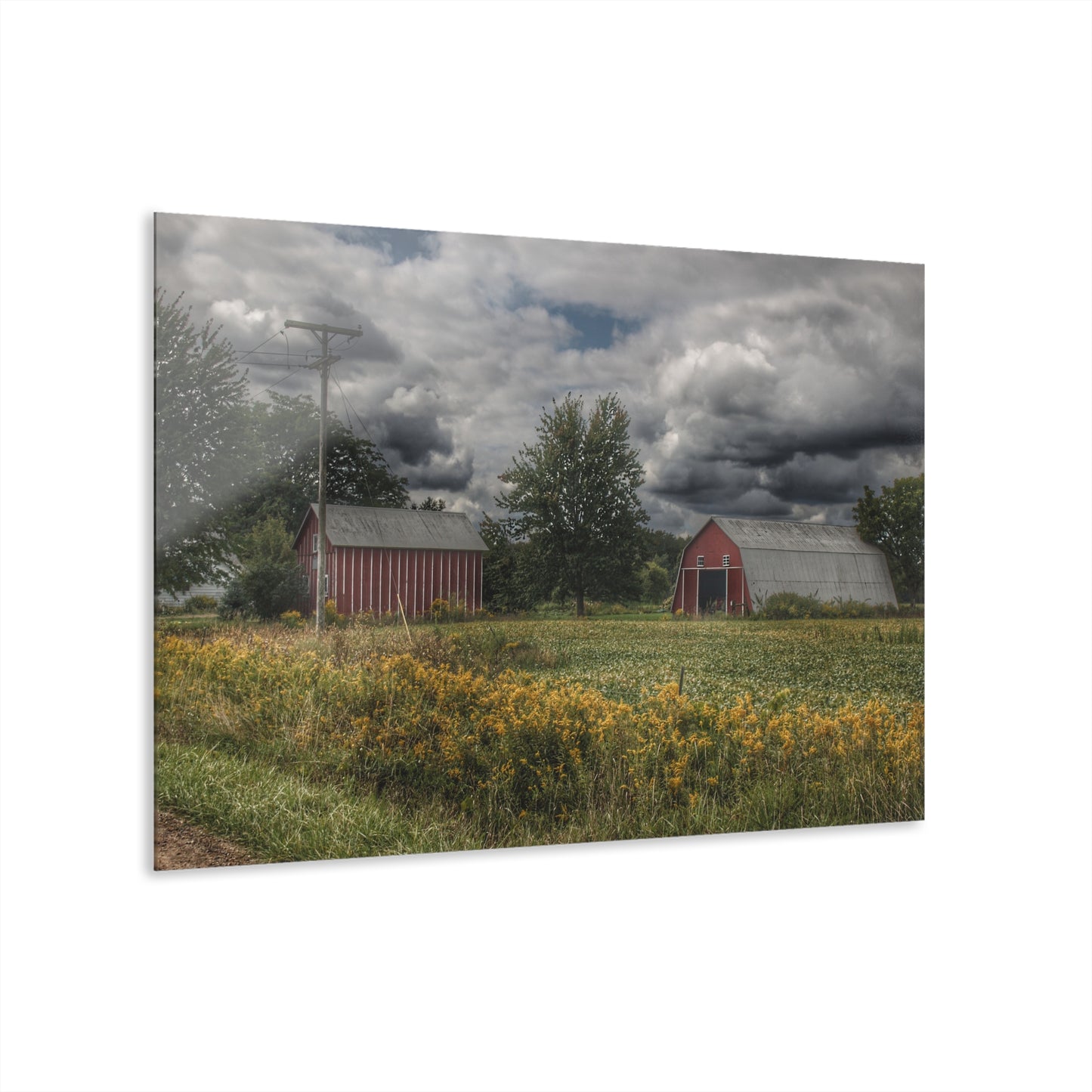 U R There Photography Pinstripe Barn and Buddy II Rustic Farmhouse Acrylic Wall Print