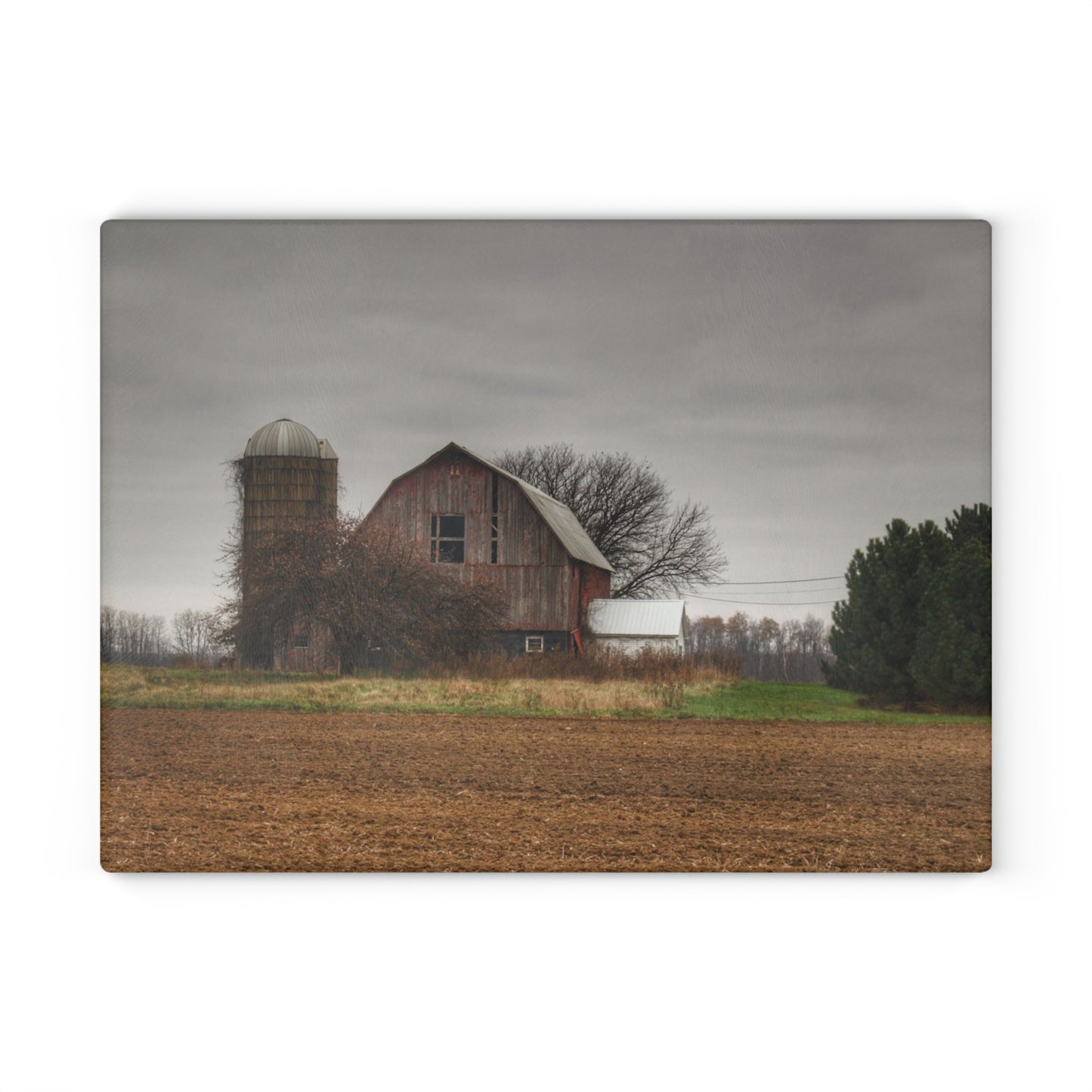 U R There Photography Reinelt Road Red Rustic Farmhouse Tempered-Glass Cutting Board 8"x 11"