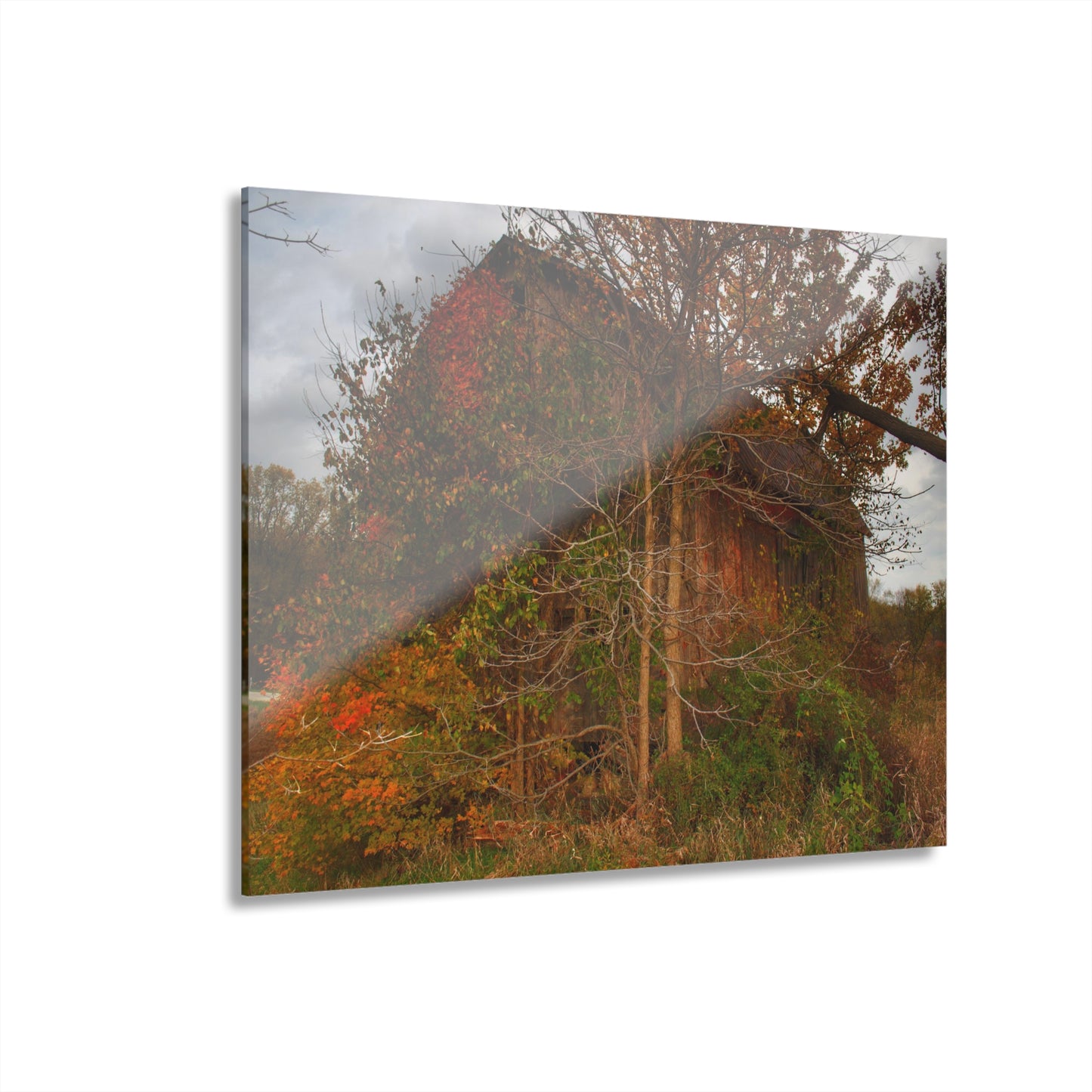 U R There Photography Annie's Barn III Rustic Farmhouse Acrylic Wall Print