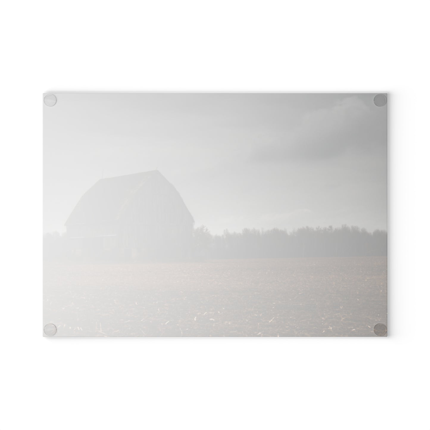 U R There Photography Stone Road Old Grey I Rustic Farmhouse Tempered-Glass Cutting Board
