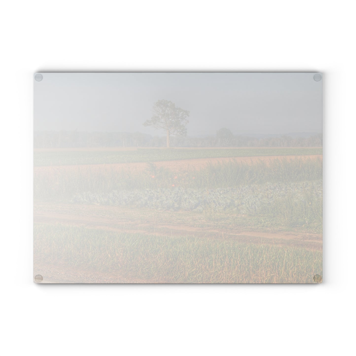 U R There Photography Cabbage and Pumpkin Patch Rustic Farmhouse Tempered-Glass Cutting Board