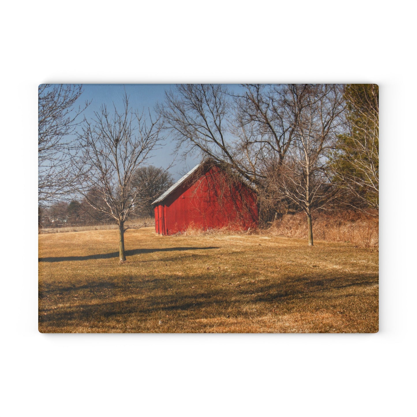 U R There Photography Romeo Plank Little Red Rustic Farmhouse Tempered-Glass Cutting Board