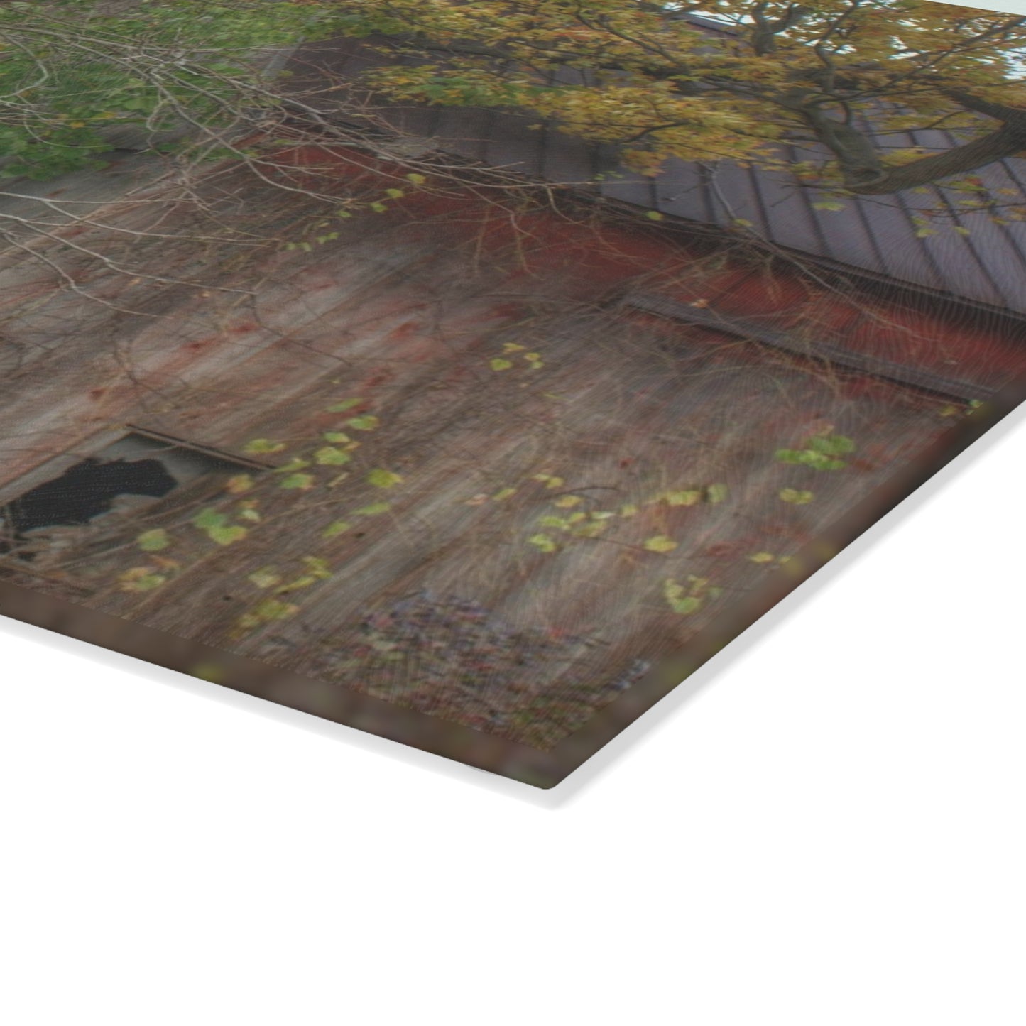 U R There Photography Annie's Barn I Rustic Farmhouse Tempered-Glass Cutting Board