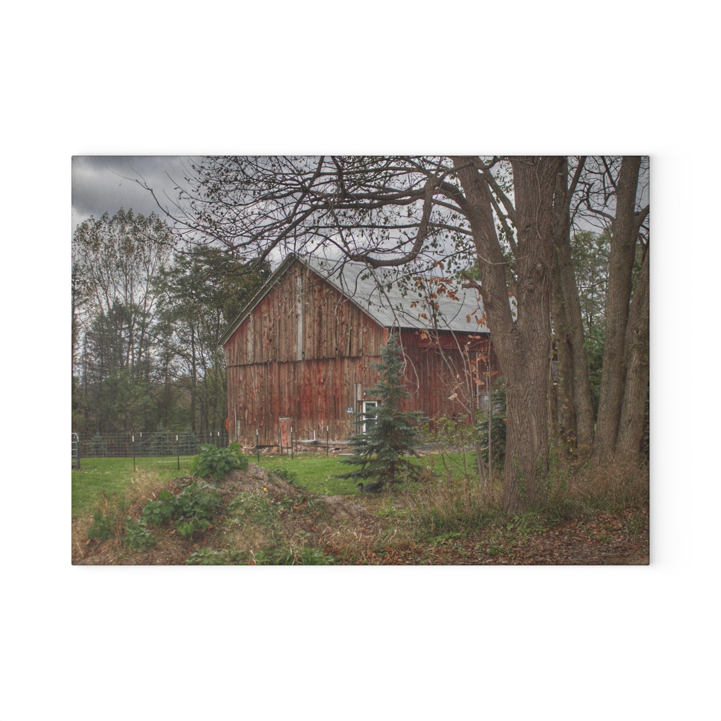 U R There Photography Big Fish Lake Road Red Rustic Farmhouse Tempered-Glass Cutting Board