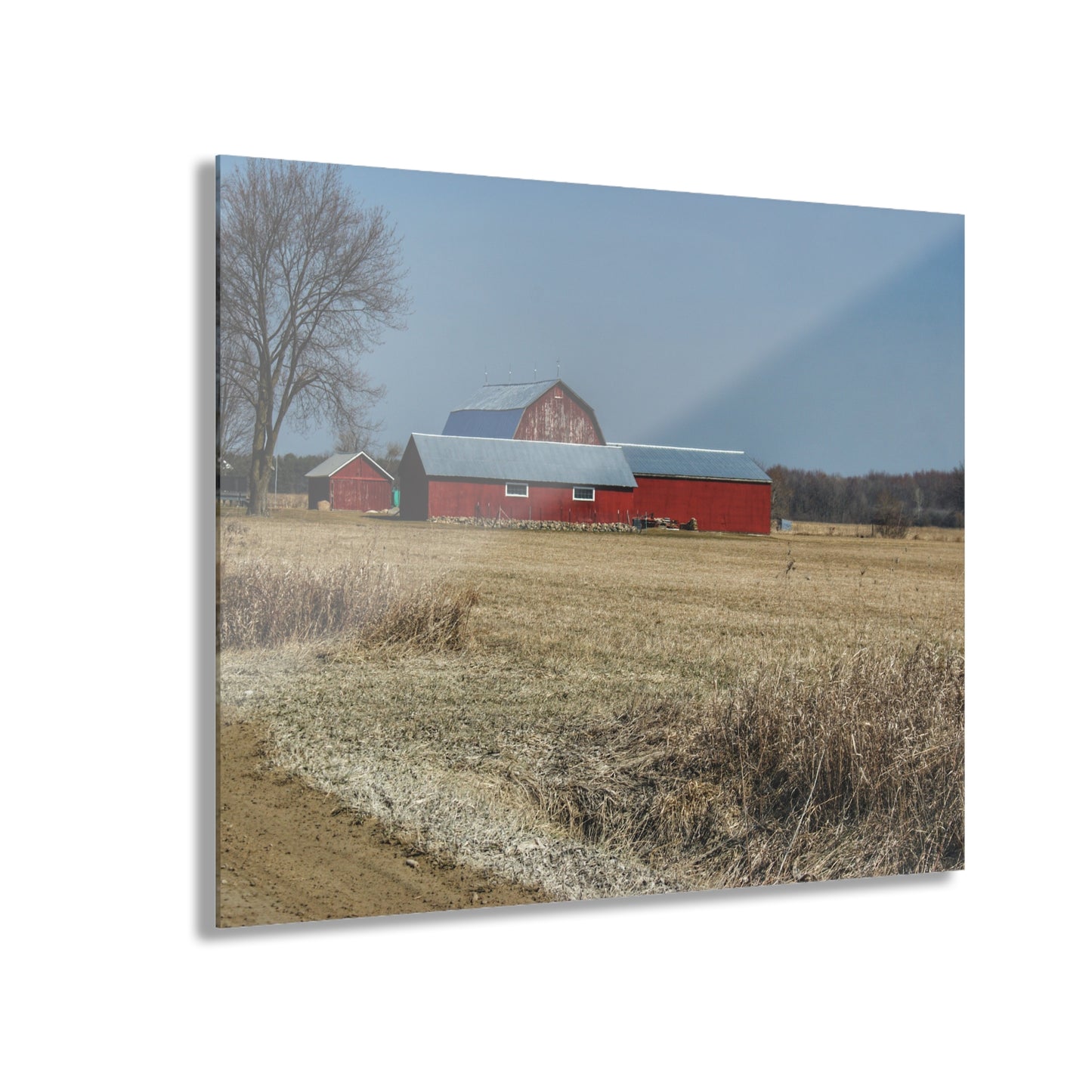 U R There Photography Romeo Plank Road Reds II Rustic Farmhouse Acrylic Wall Print