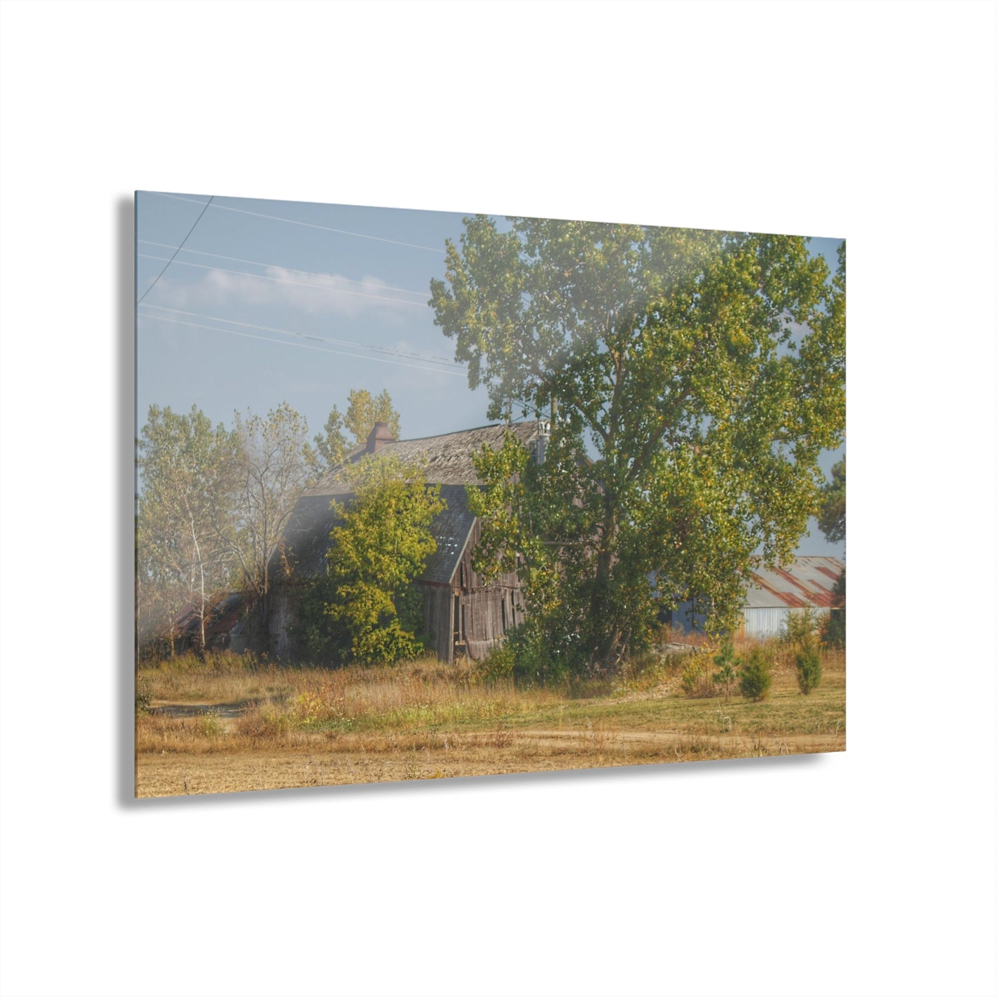 U R There Photography Barnes Road Grey Rustic Farmhouse Acrylic Wall Print