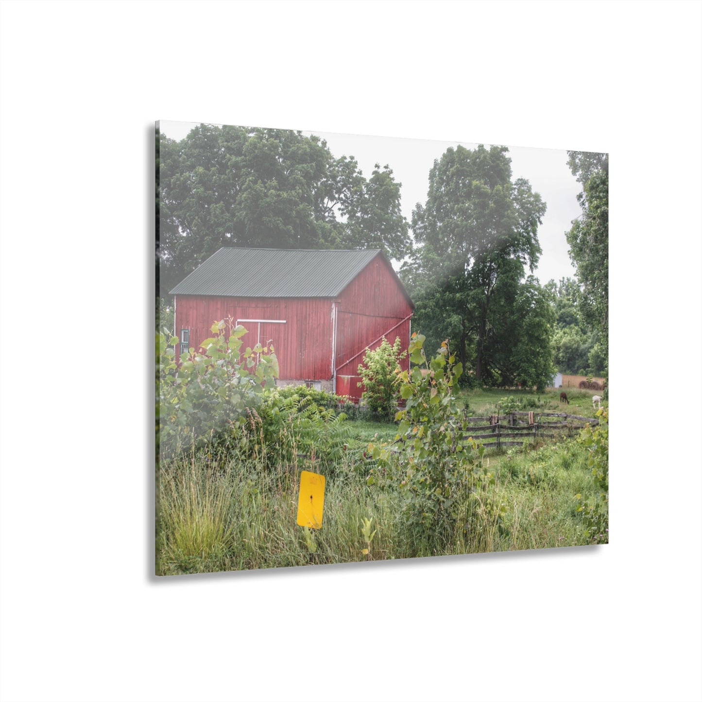 U R There Photography Clifford Road Alpaca Barn Rustic Farmhouse Acrylic Wall Print