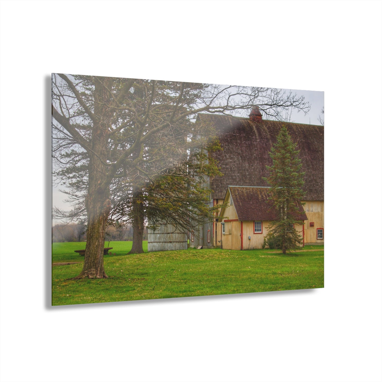 U R There Photography Romeo Van Dyke Grey Rustic Farmhouse Acrylic Wall Print