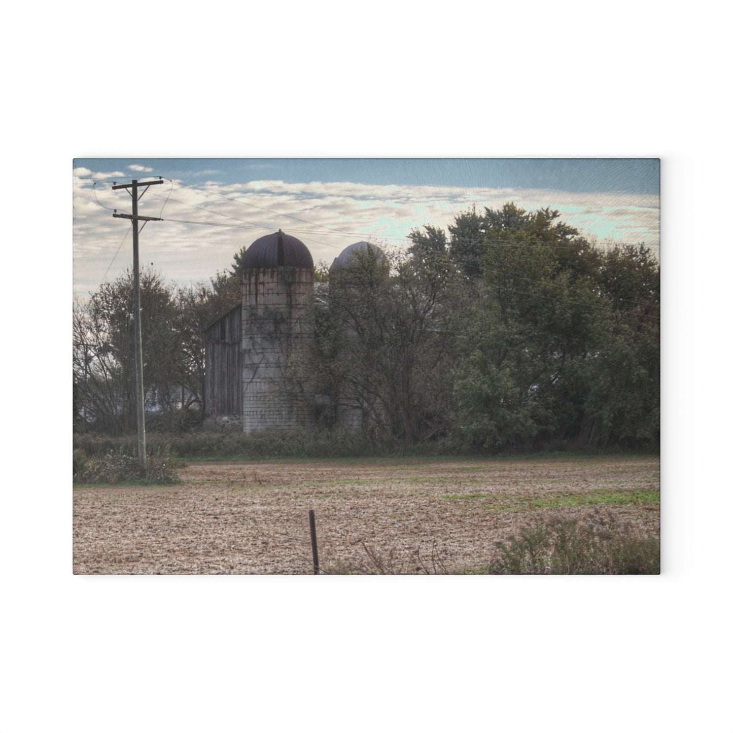U R There Photography Burnside Road Grey I Rustic Farmhouse Tempered-Glass Cutting Board