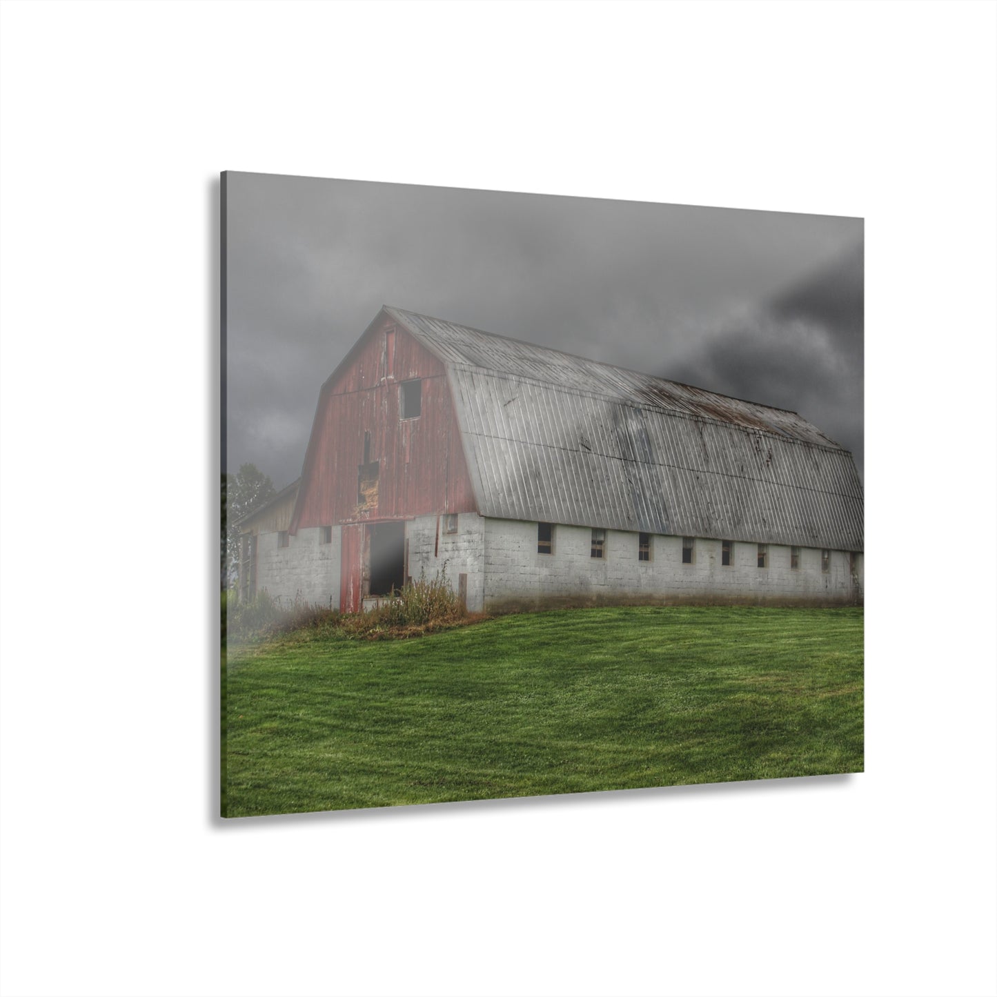 U R There Photography Peters Red Appaloosa II Rustic Farmhouse Acrylic Wall Print