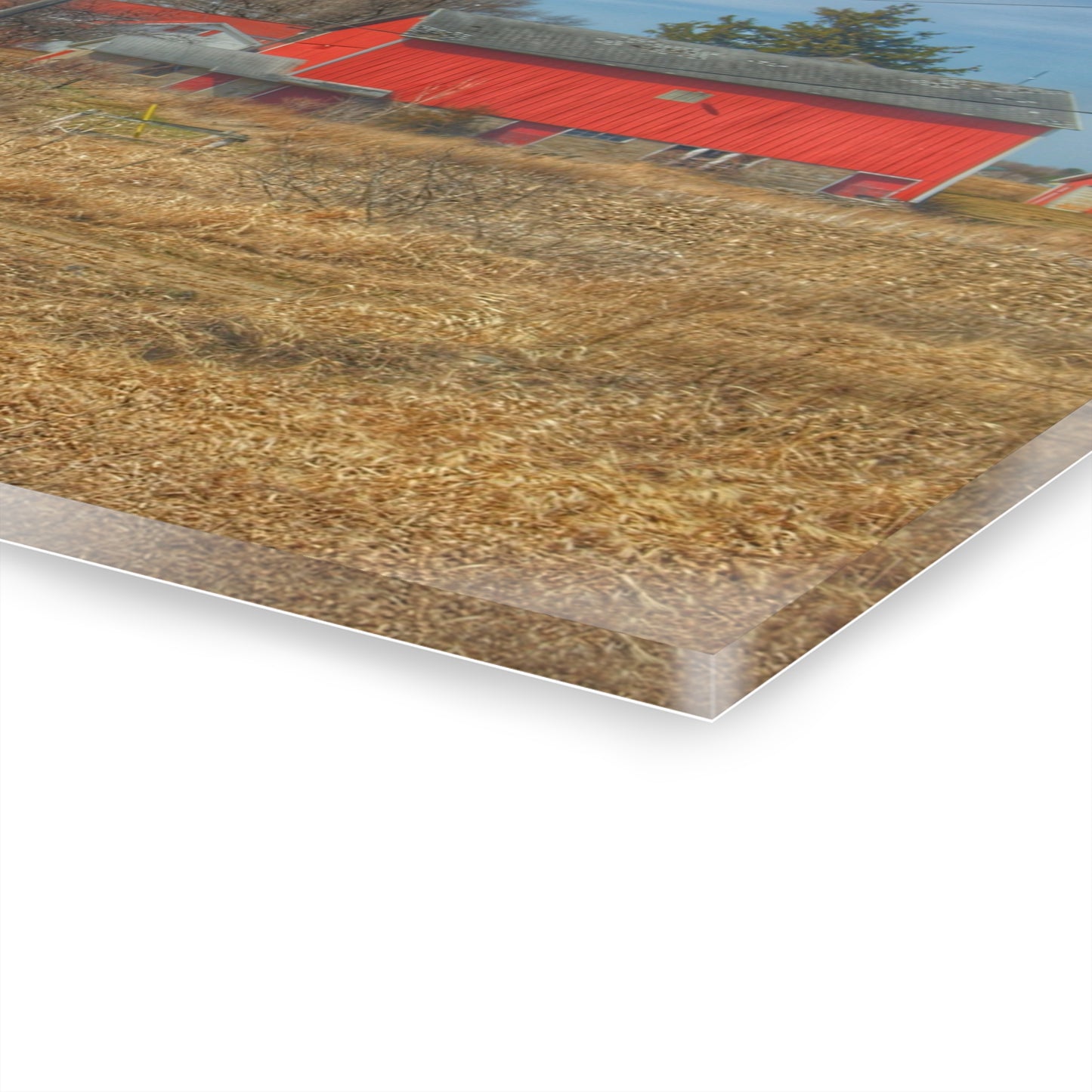 U R There Photography West Brown Road Red Rustic Farmhouse Acrylic Wall Print