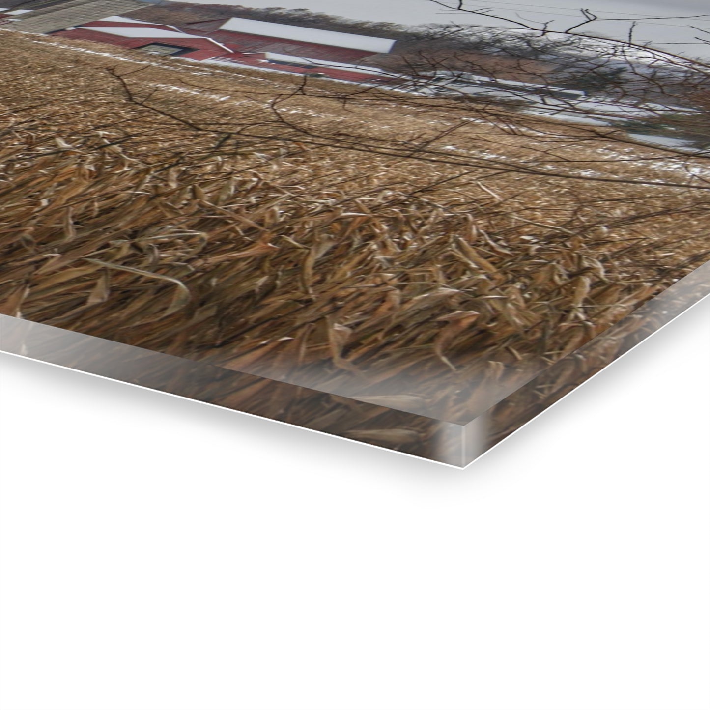 U R There Photography Beyond the Cornfield on Sutton Rustic Farmhouse Acrylic Wall Print