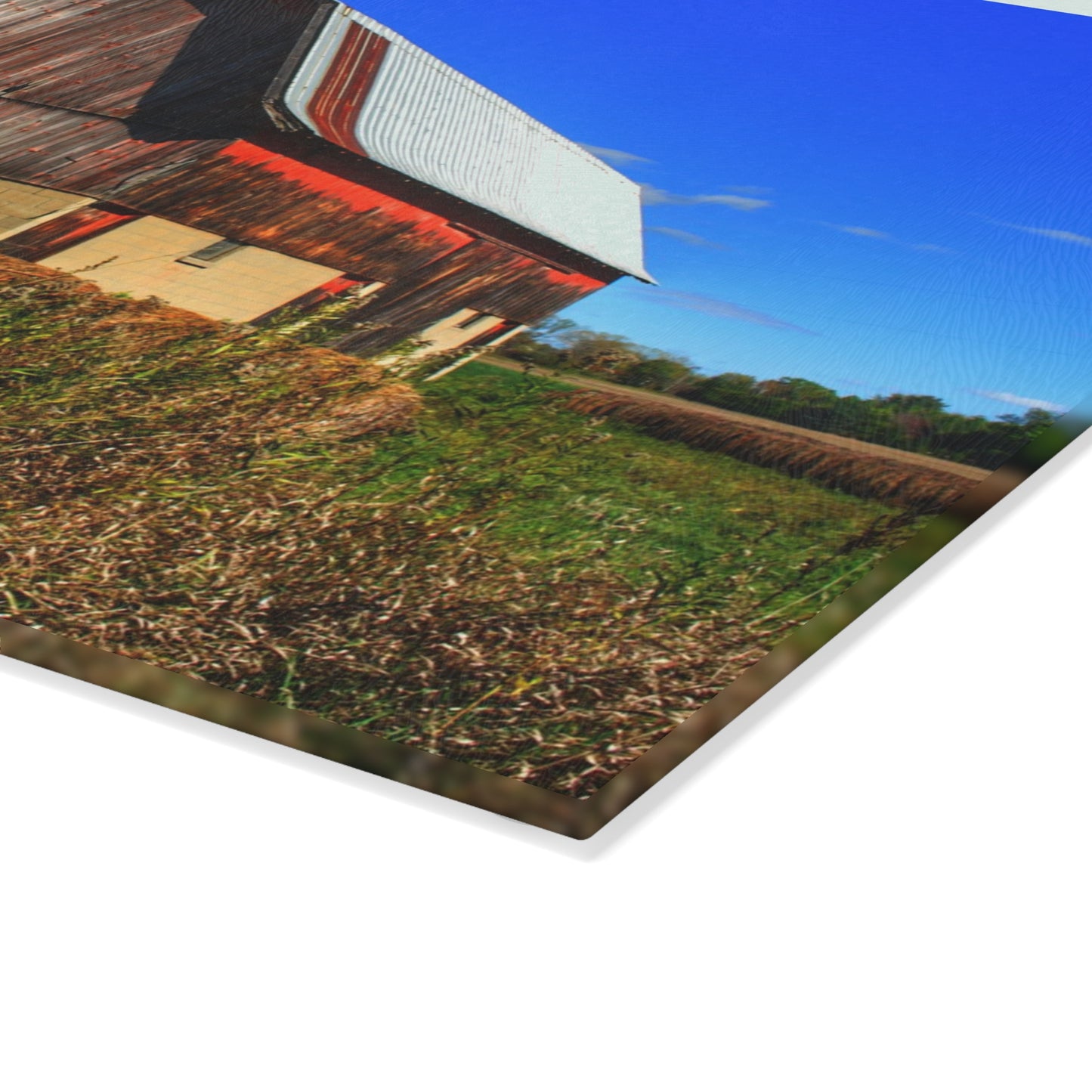 U R There Photography Byington Road Red II Rustic Farmhouse Tempered-Glass Cutting Board
