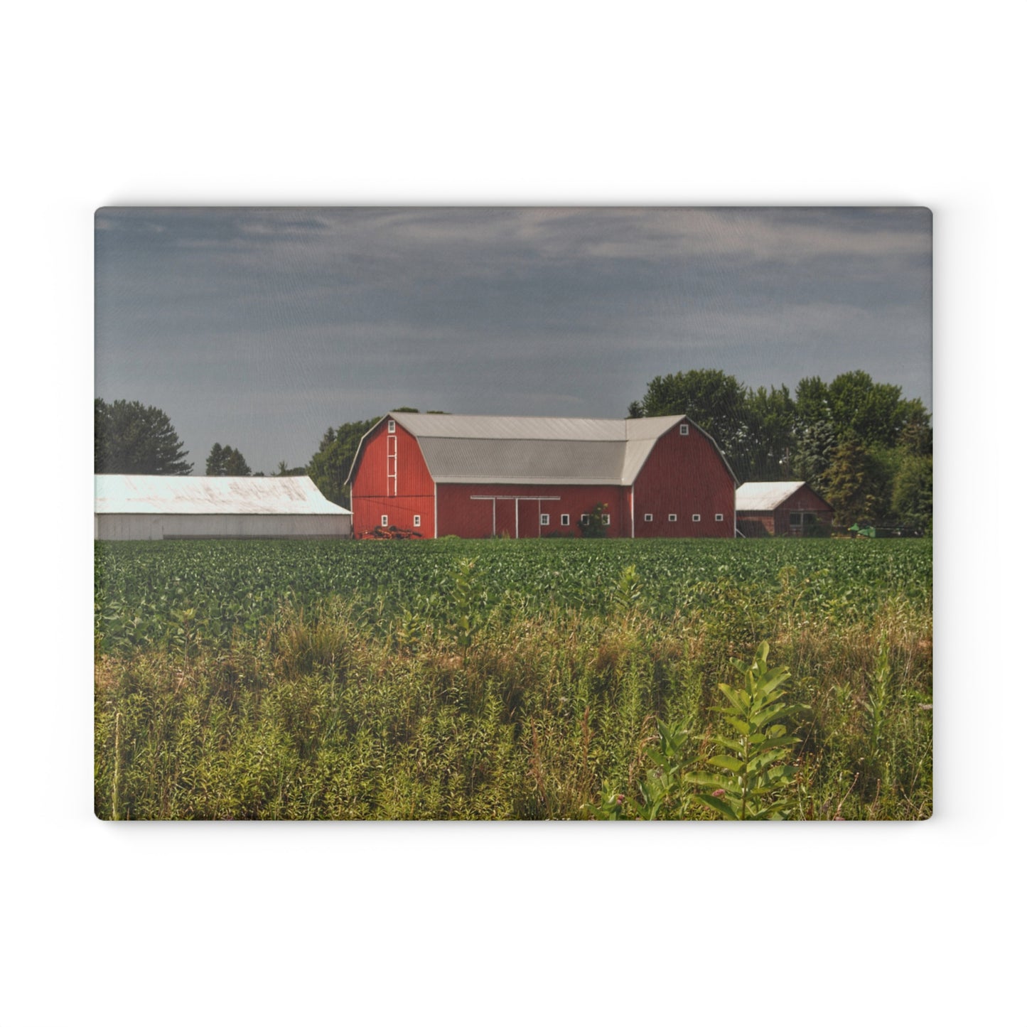U R There Photography Townline Road Red Rustic Farmhouse Tempered-Glass Cutting Board
