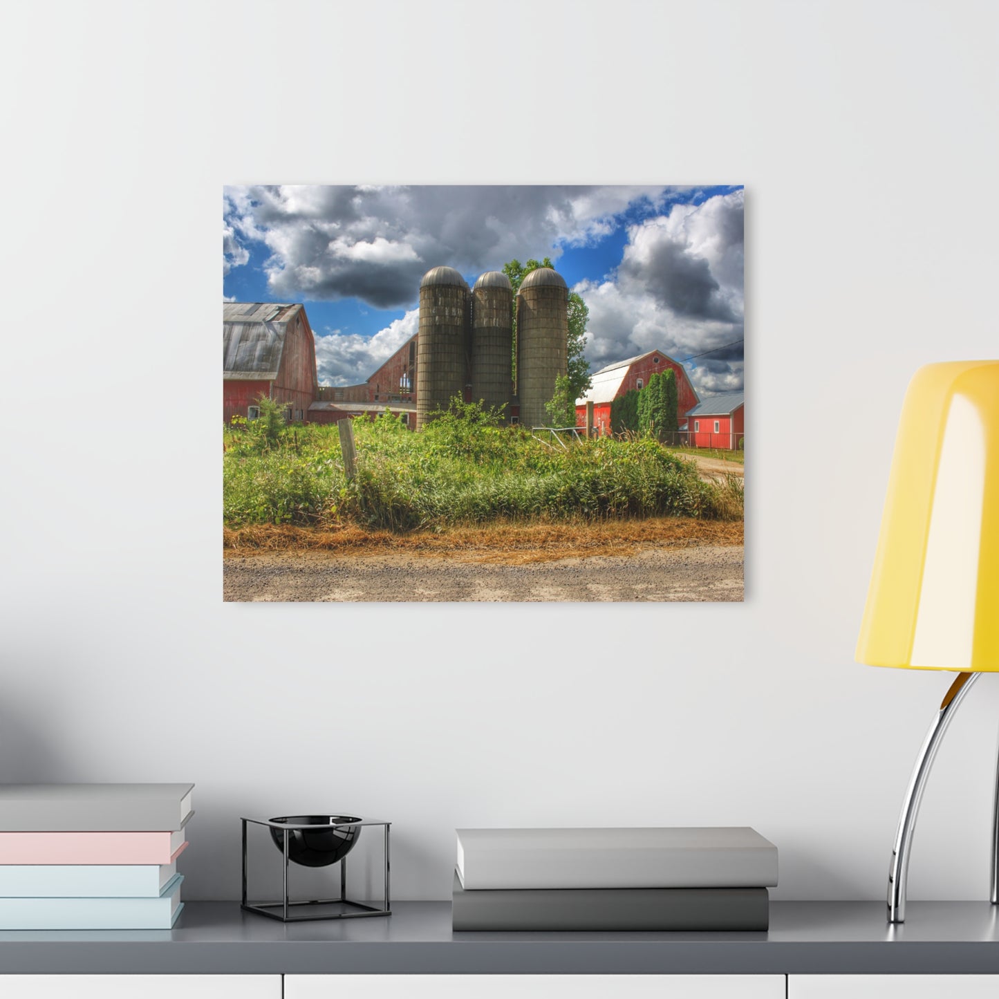 U R There Photography Shelby Red II Rustic Farmhouse Acrylic Wall Print