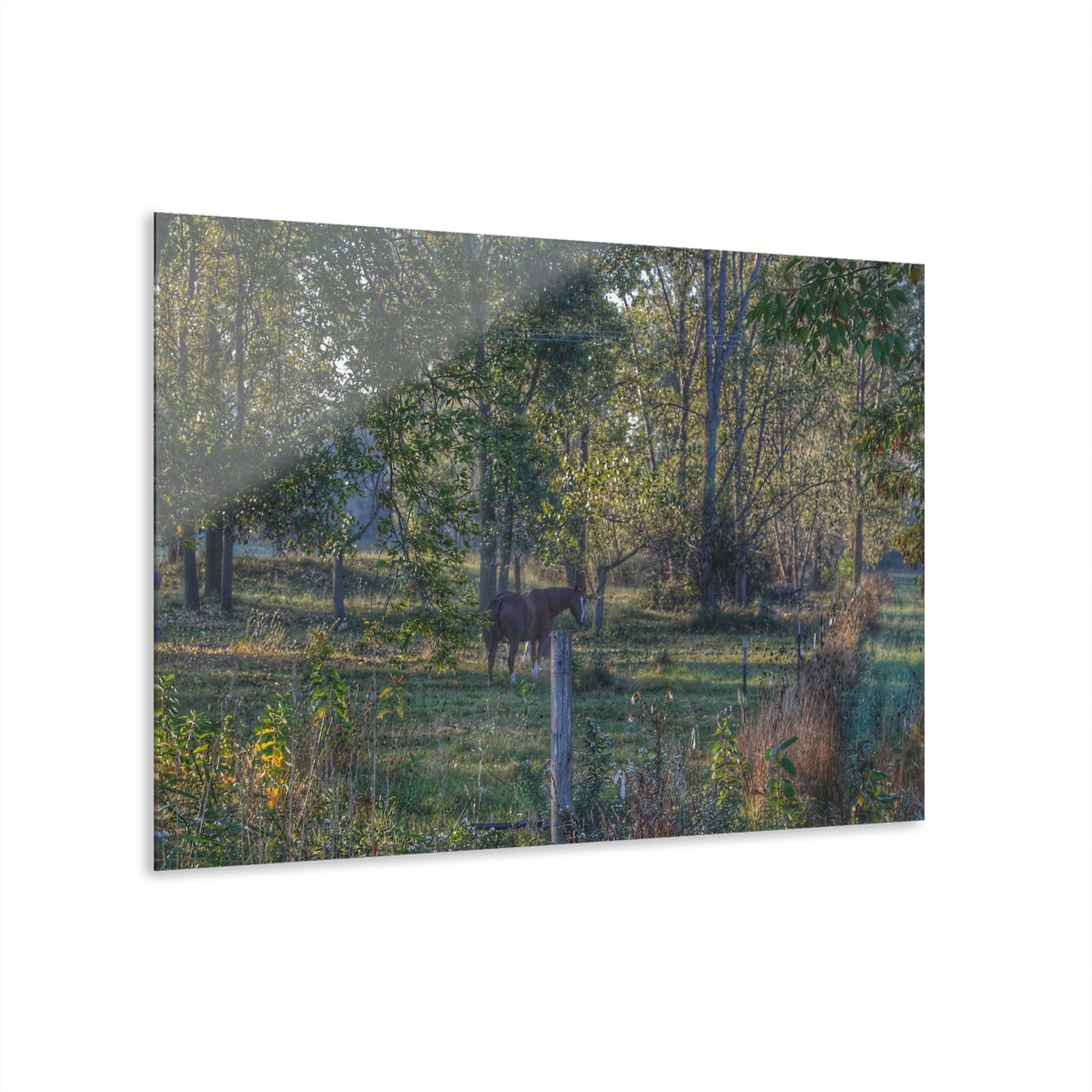 U R There Photography Chestnut Horse Among the Trees Rustic Farmhouse Acrylic Wall Print