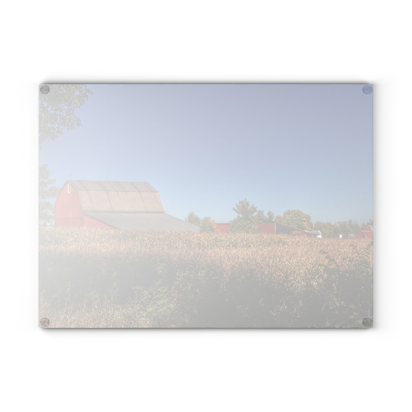 U R There Photography Red Saltbox Barn Rustic Farmhouse Tempered-Glass Cutting Board