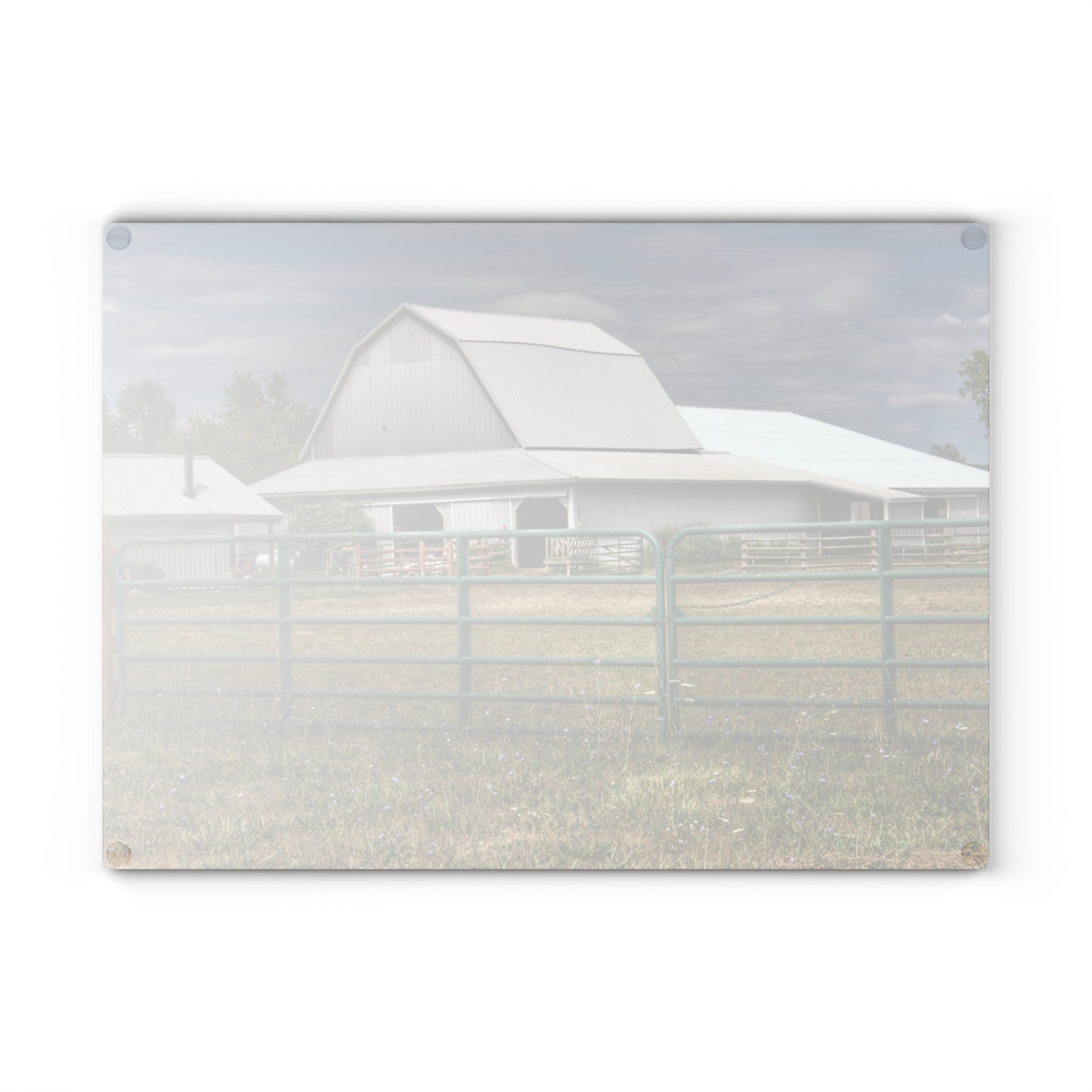 U R There Photography Petz Road Grey Rustic Farmhouse Tempered-Glass Cutting Board
